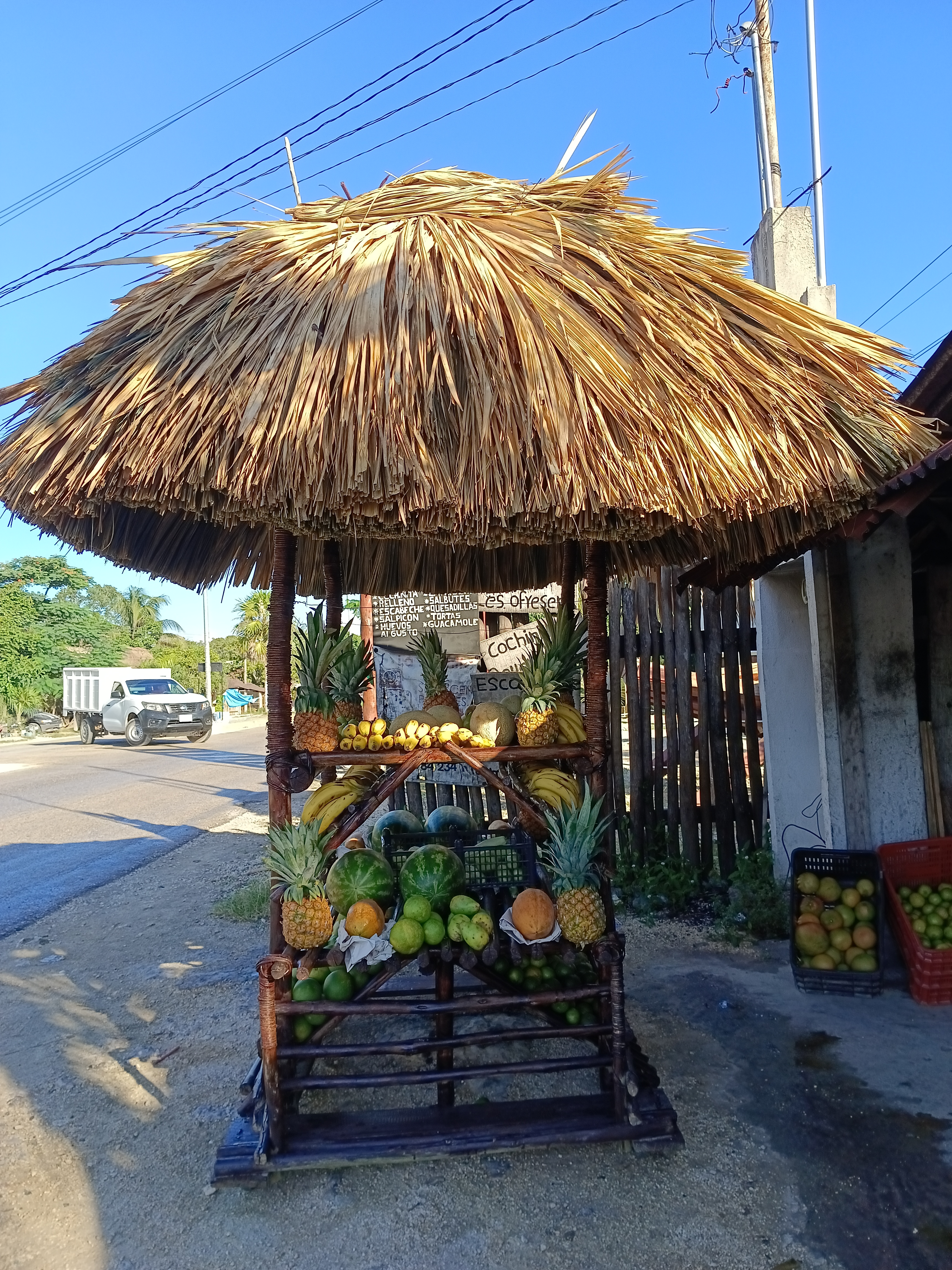 Restaurante las palmitas image 3