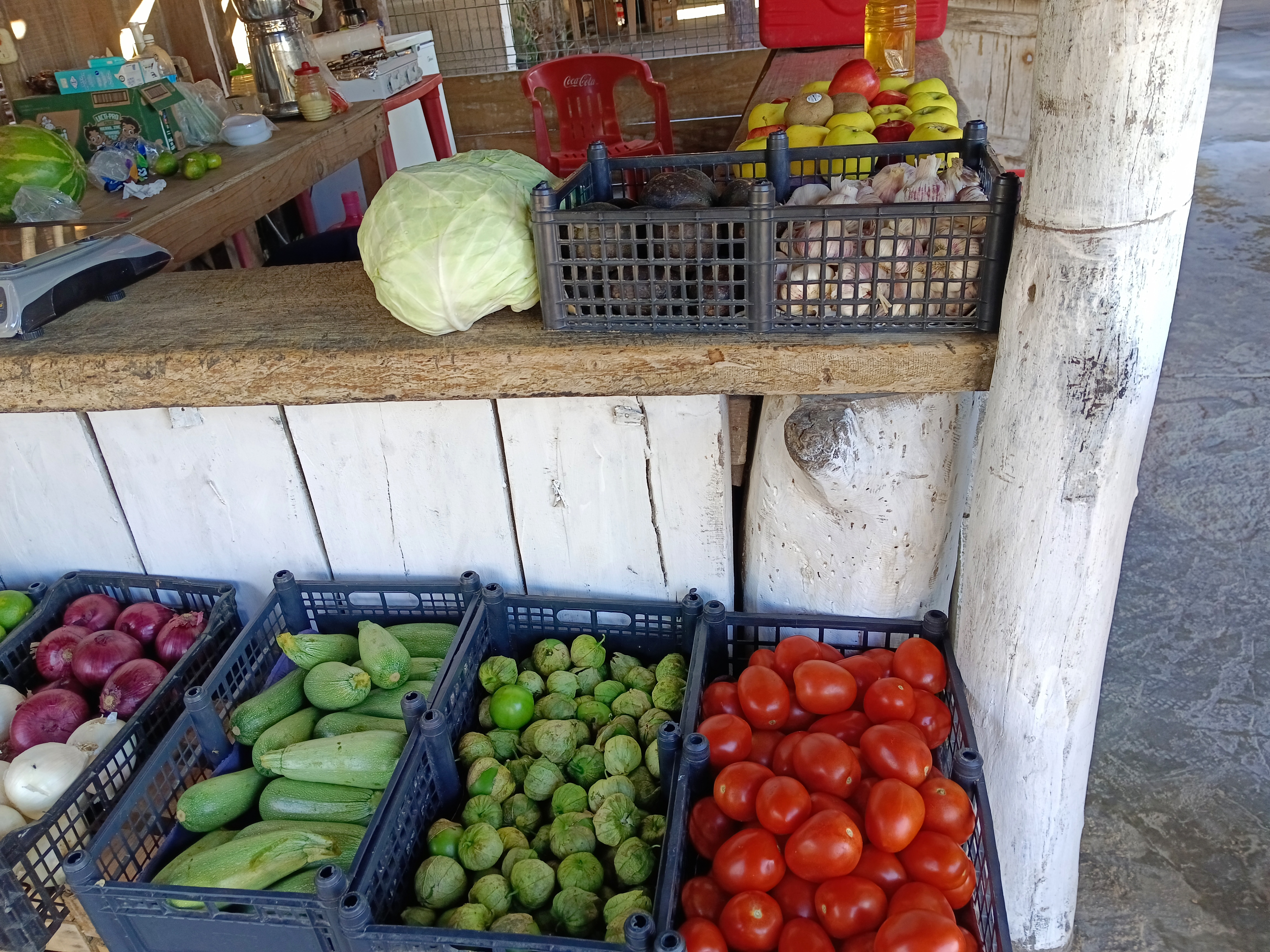 Restaurante las palmitas image 7