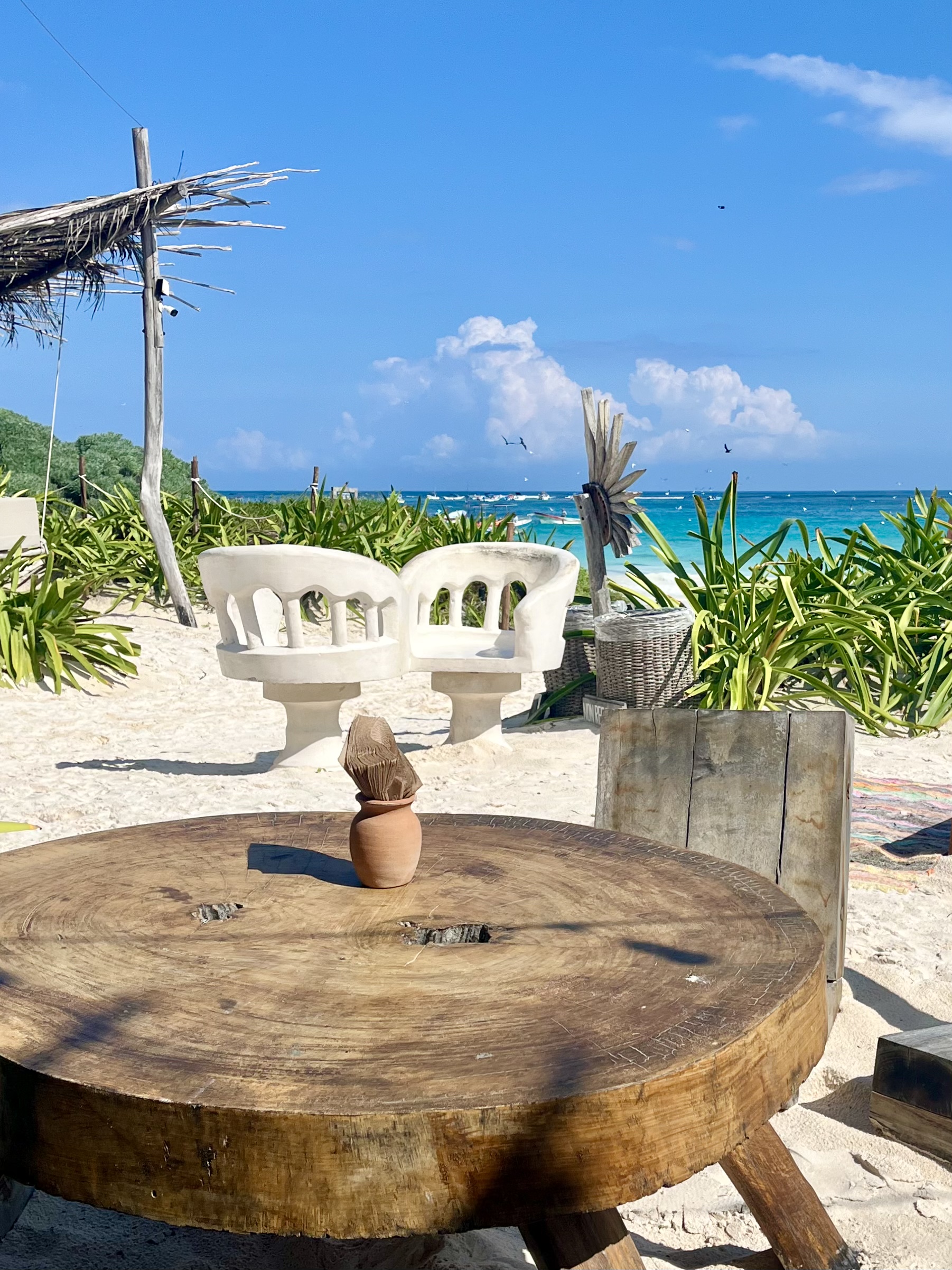 Maia Restaurant image 1