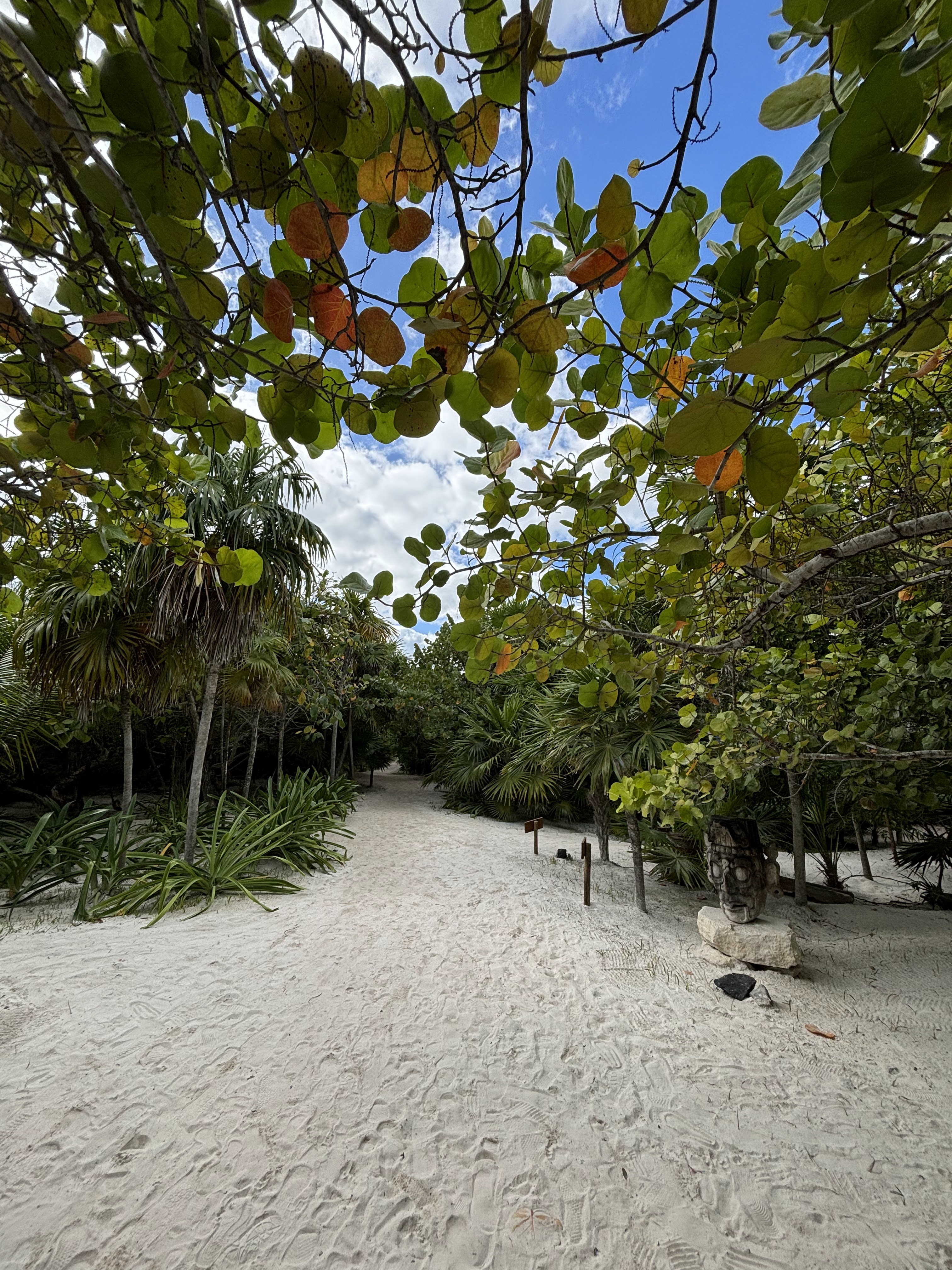 Maia Restaurant image 5