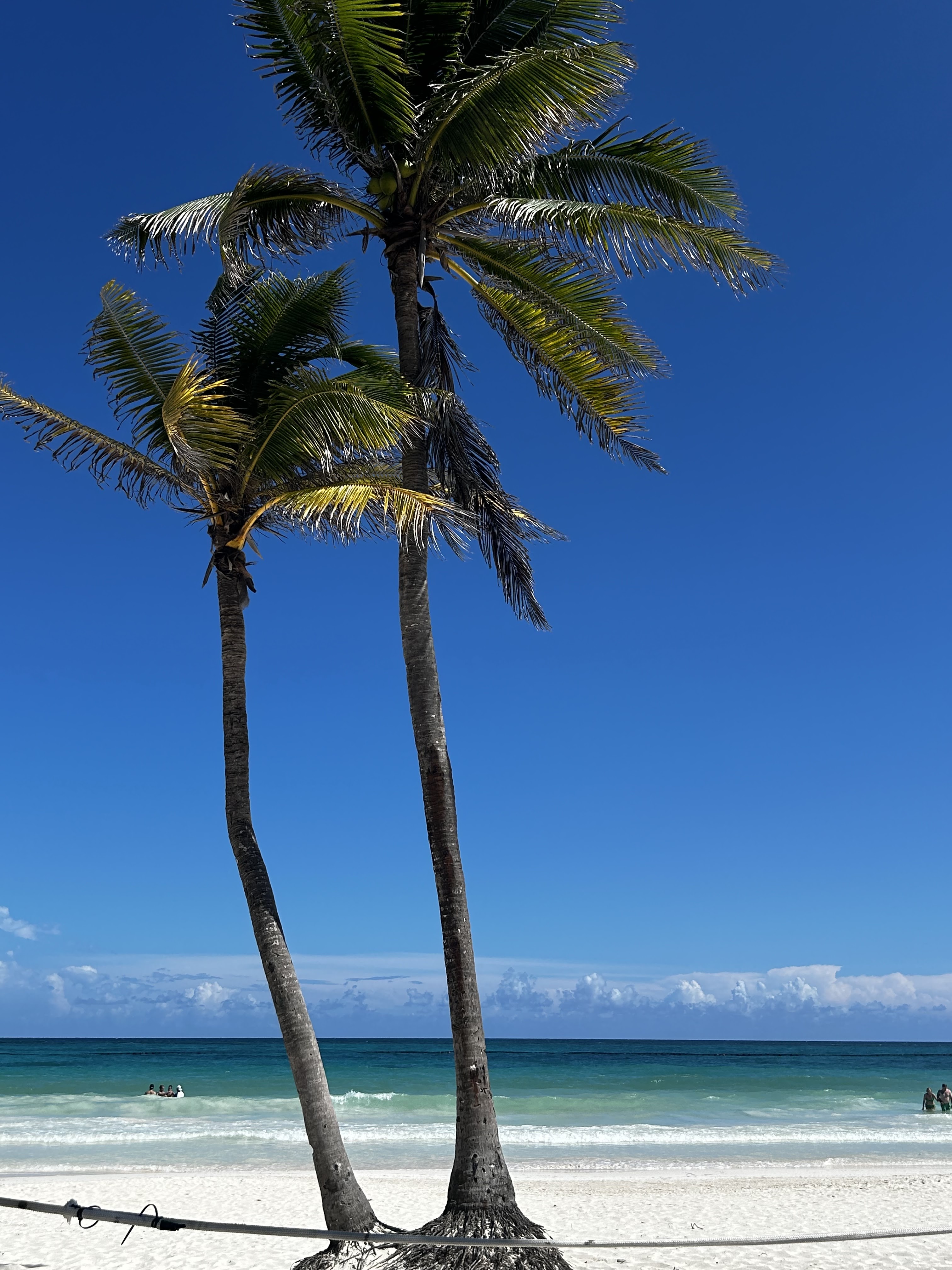 El Paraiso Tulum Restaurant image 6