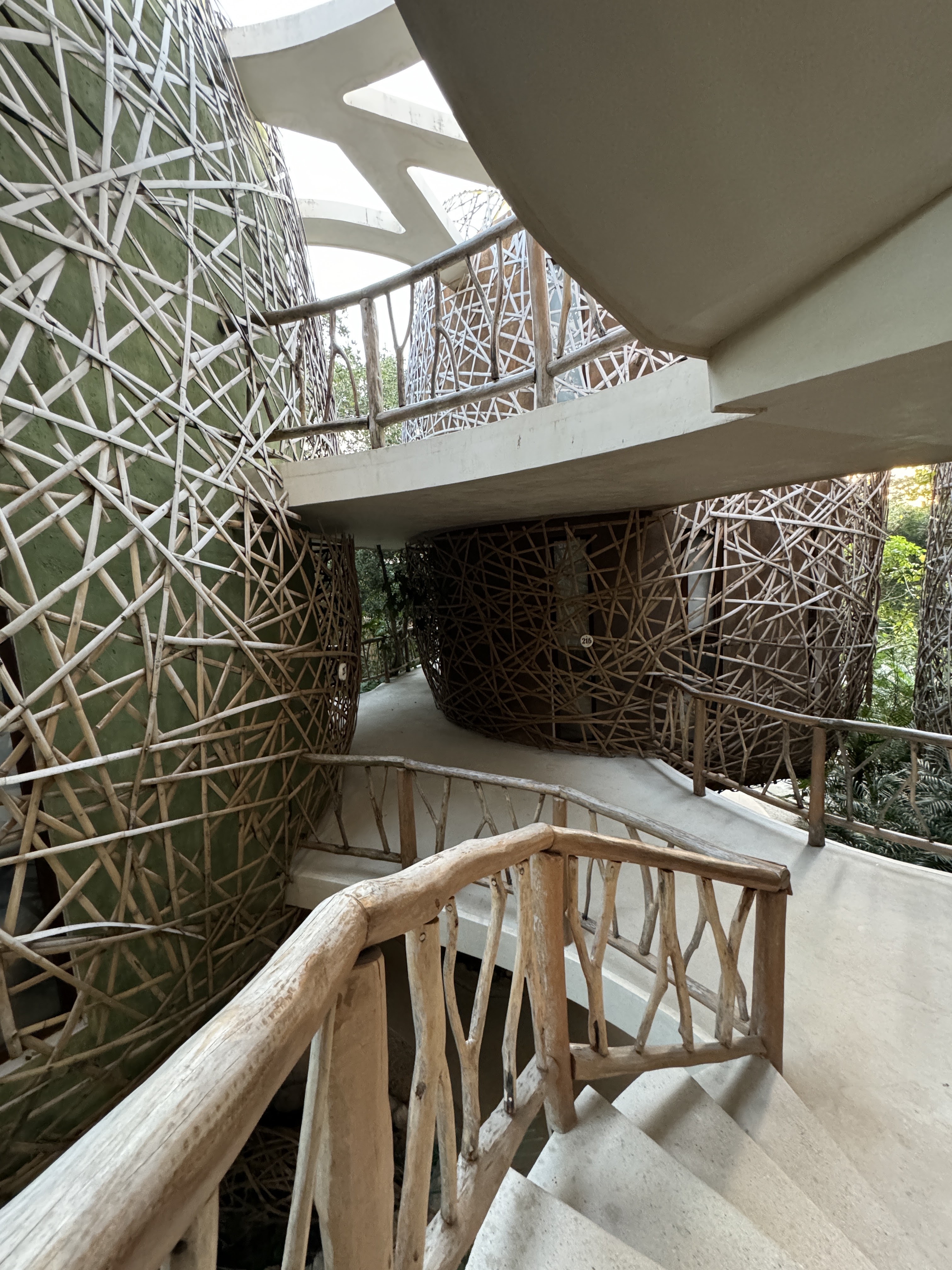 Mot Mot Restaurant & Cenote Club image 1