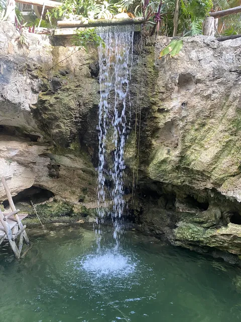 Mot Mot Restaurant & Cenote Club image 3