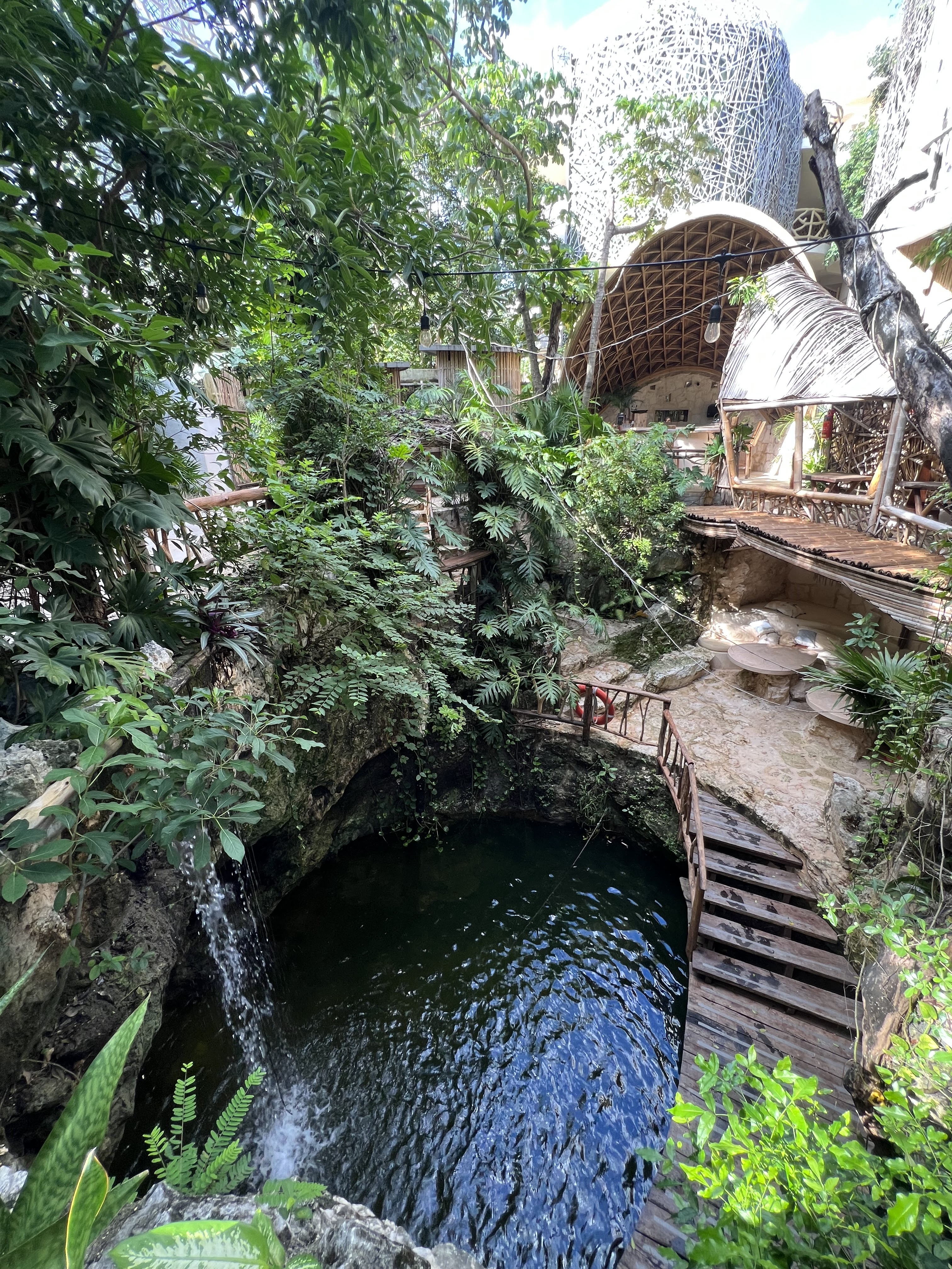 Mot Mot Restaurant & Cenote Club image 6