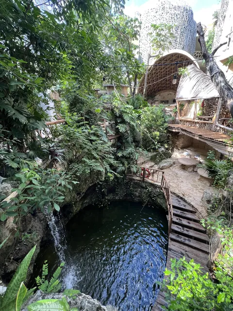 Mot Mot Restaurant & Cenote Club image 6
