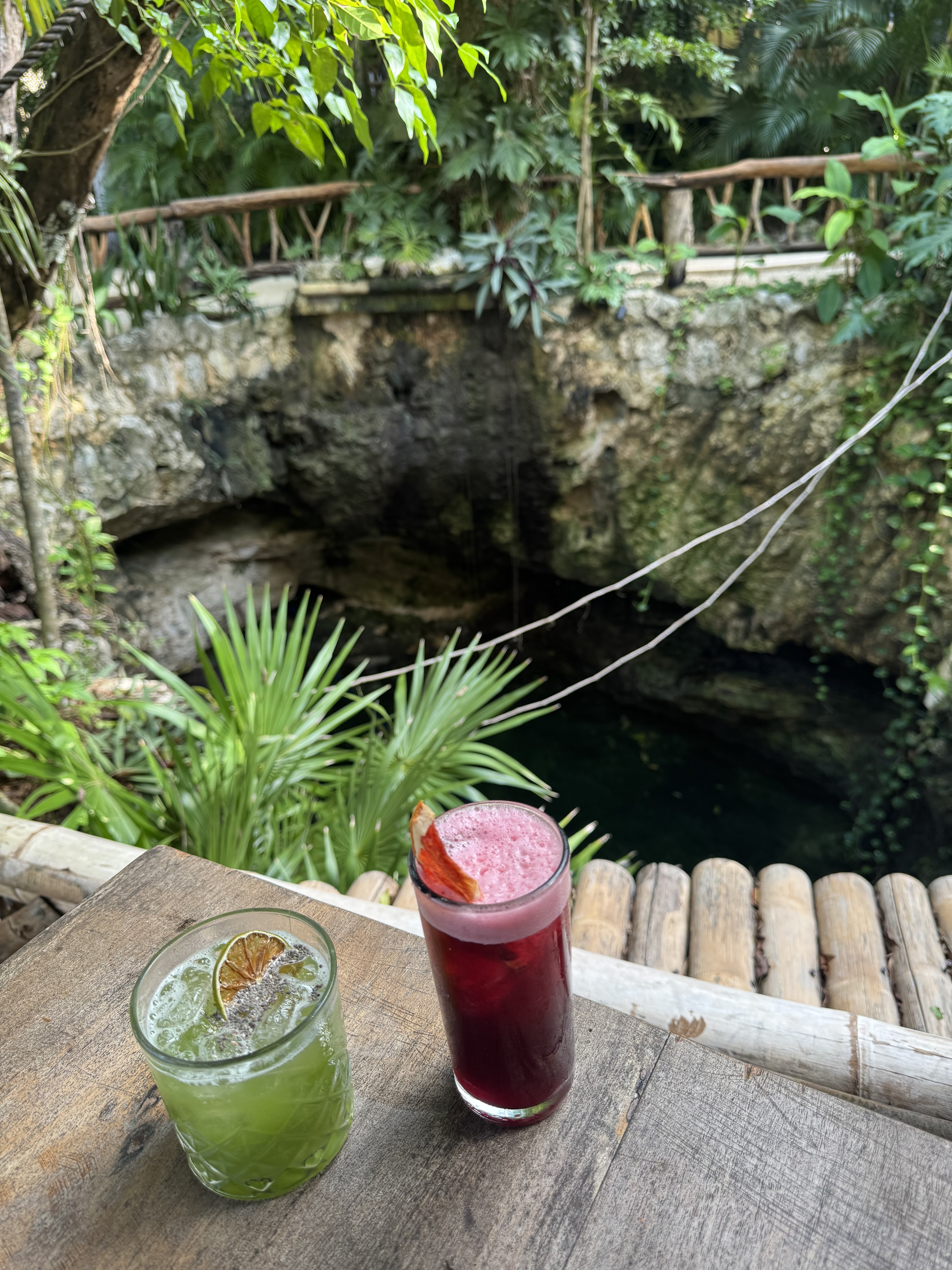 Mot Mot Restaurant & Cenote Club image 10