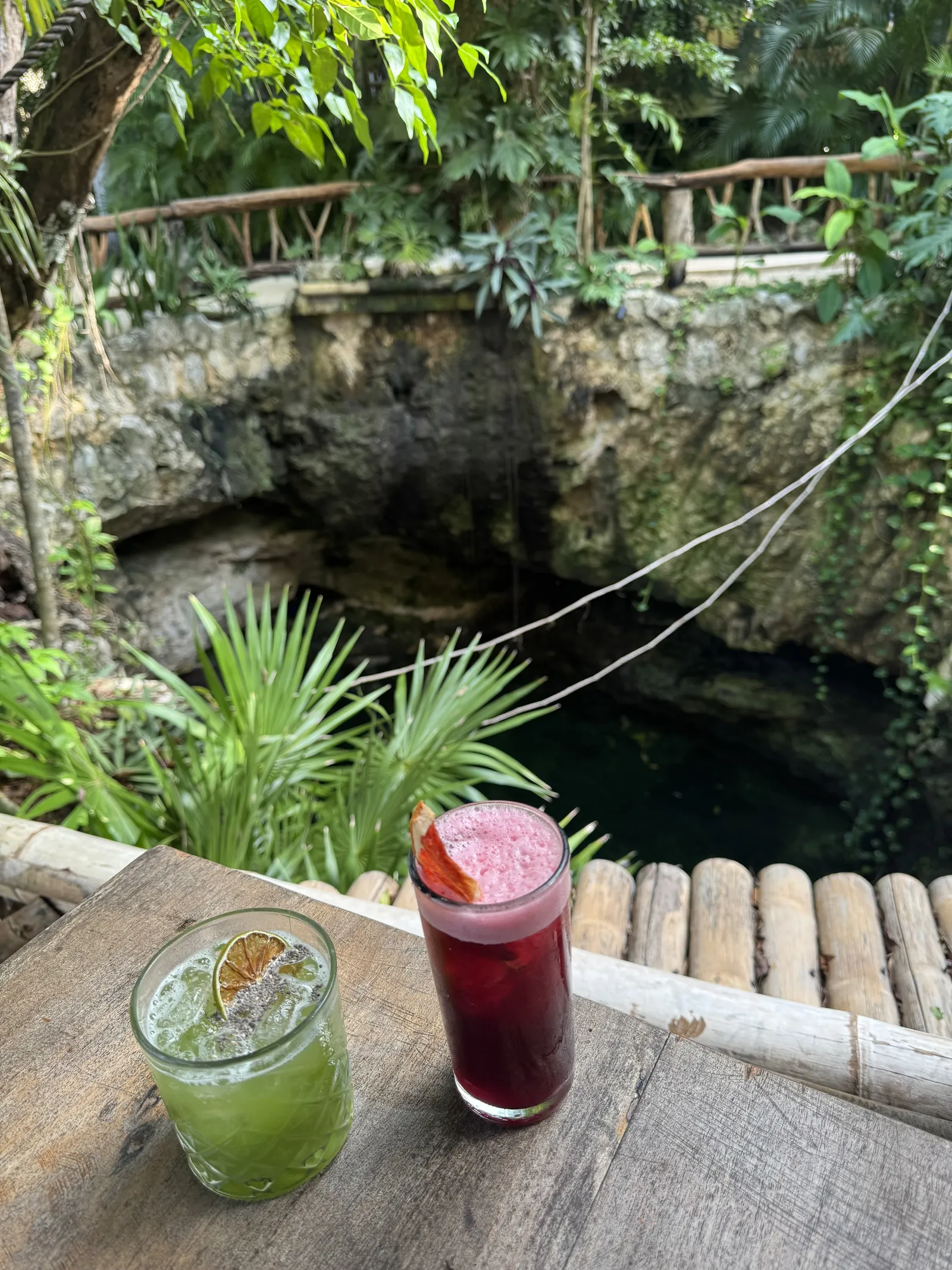 Mot Mot Restaurant & Cenote Club image 10
