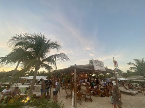Common Ground Playa Tulum image 3