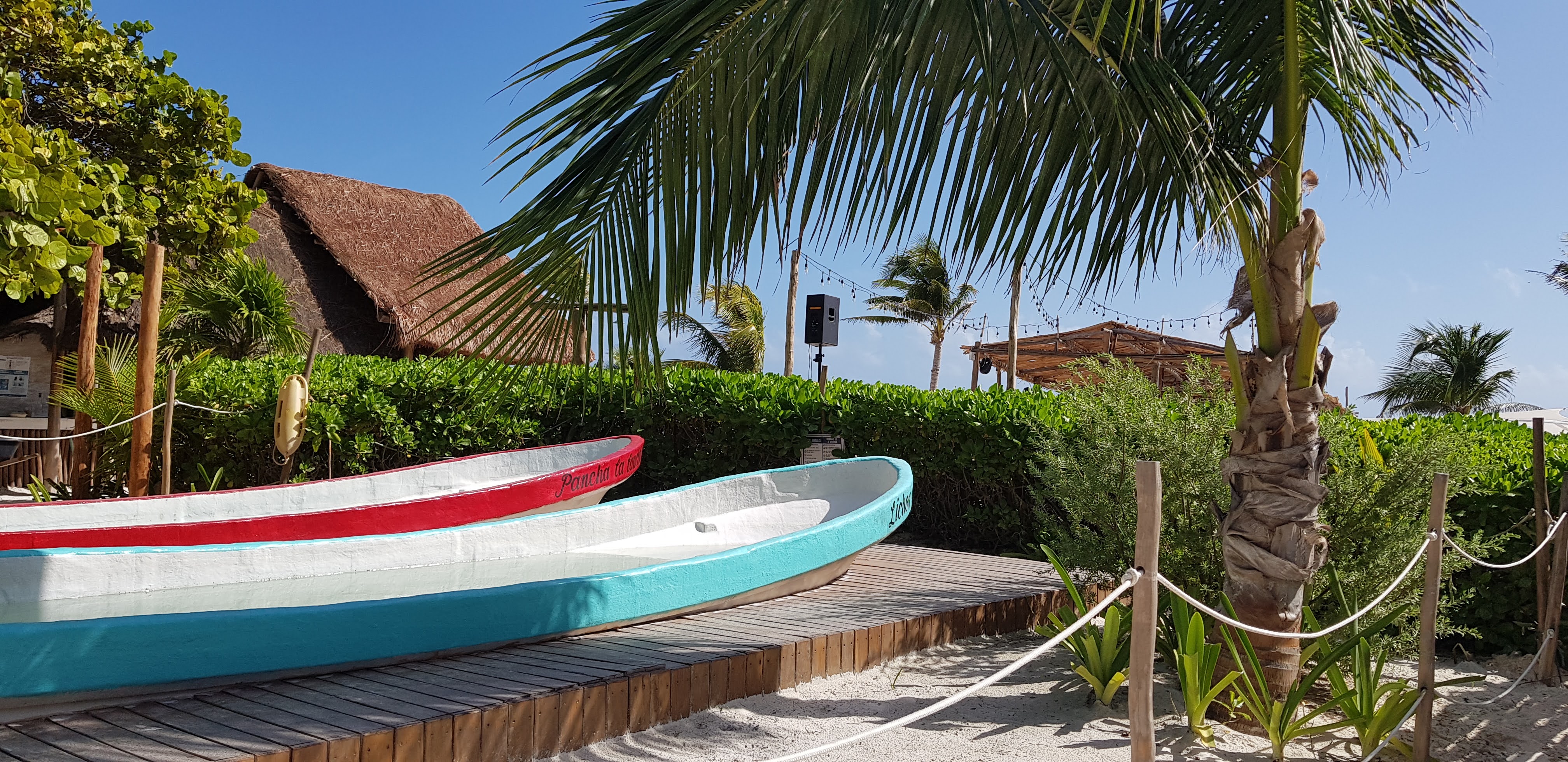 Common Ground Playa Tulum image 9