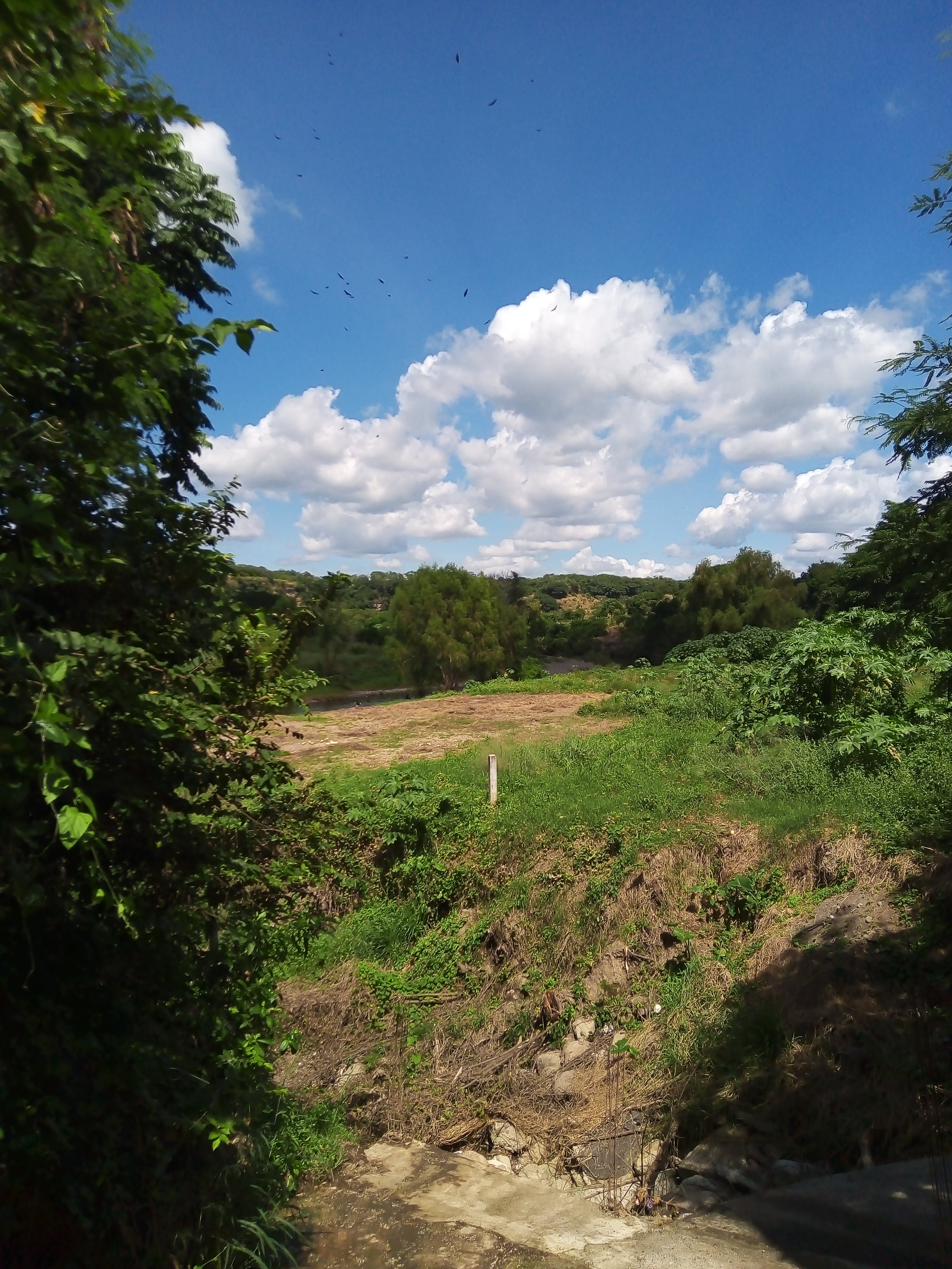 Palapa La Brisa Del Rio image 6