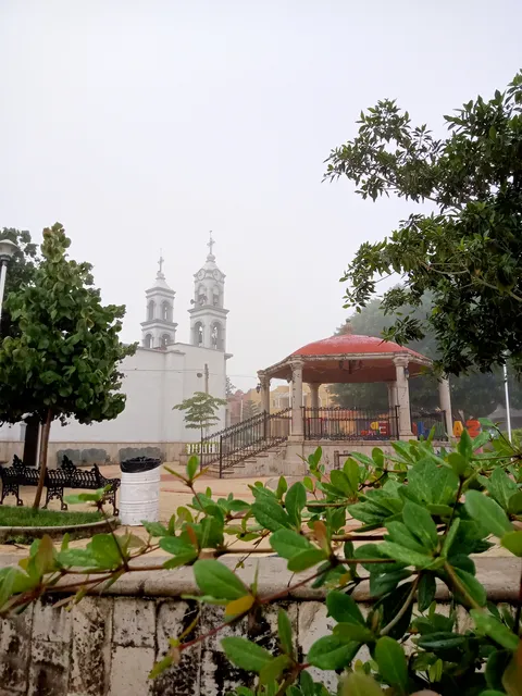 Tejuino papa santiago image 3