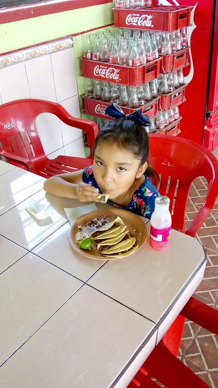 Taqueria "Los rigo's" image 7