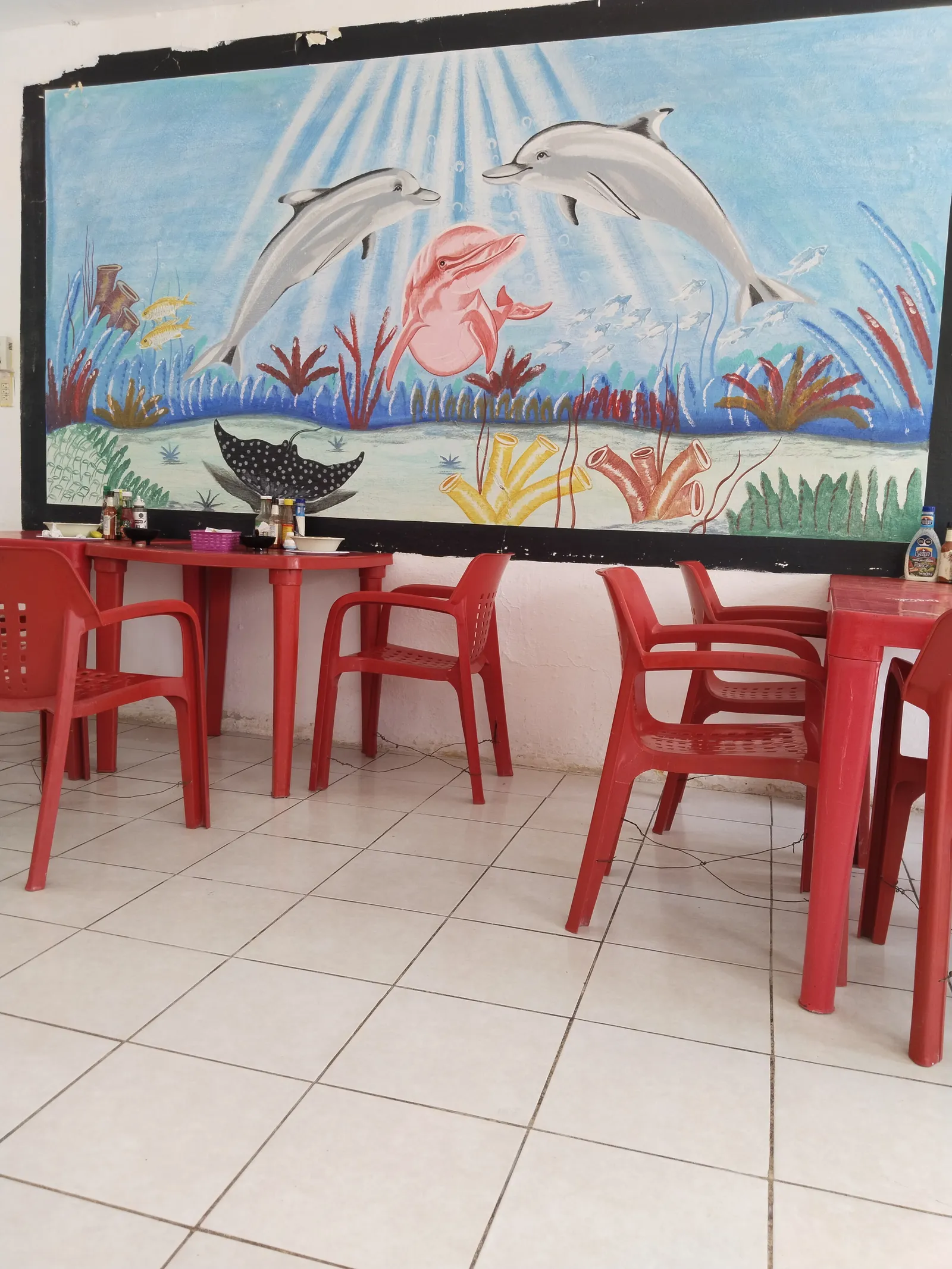 Los Delfines image 5