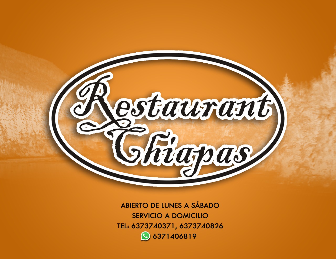 Restaurant Chiapas image 6