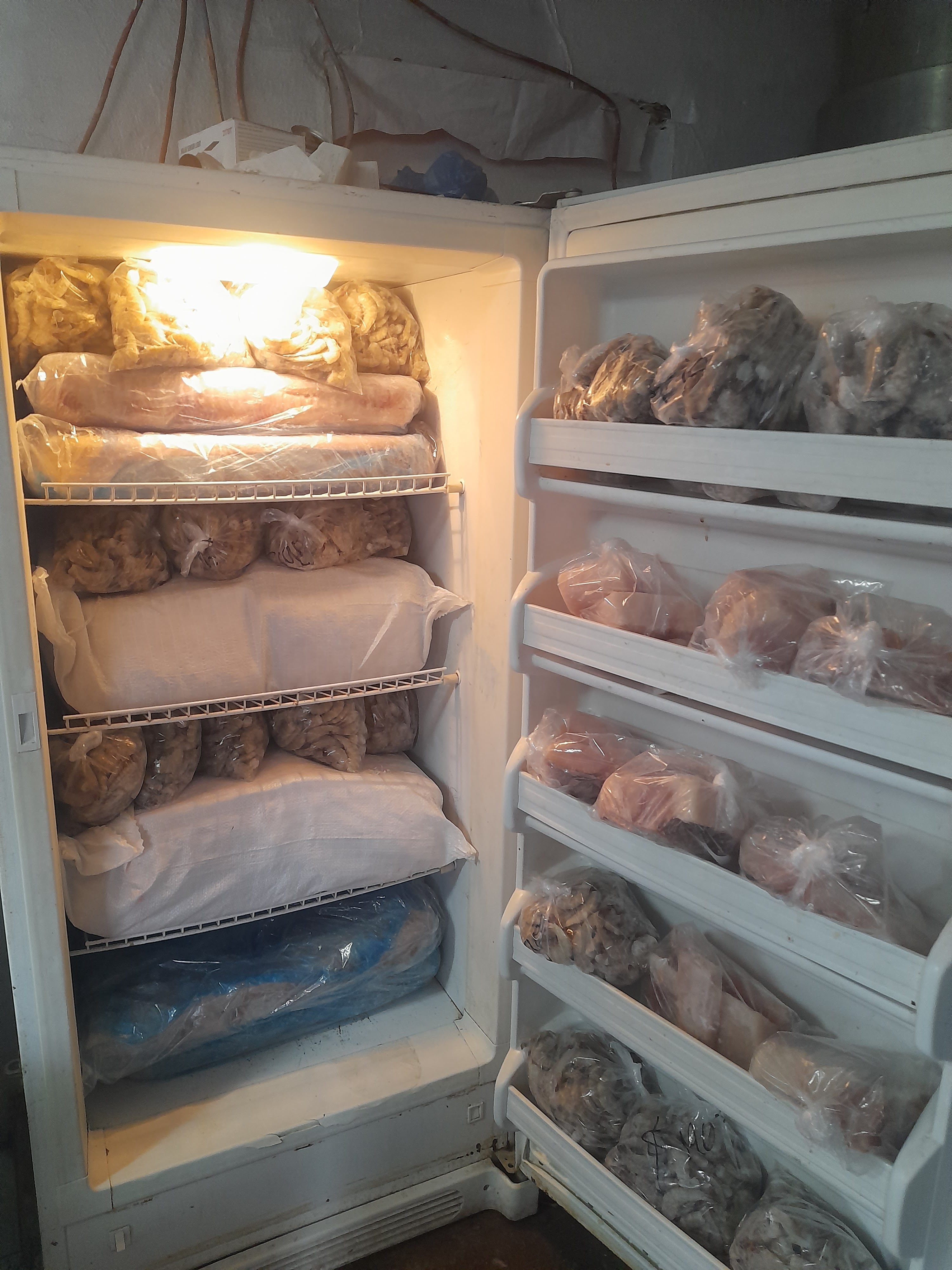 Cahuamanta RAFA image 8