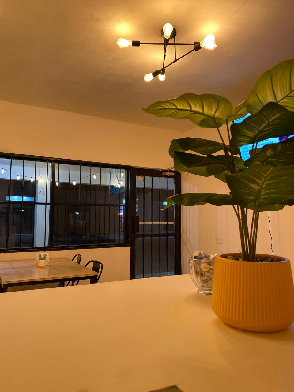 KIDU RESTAURANTE image 7