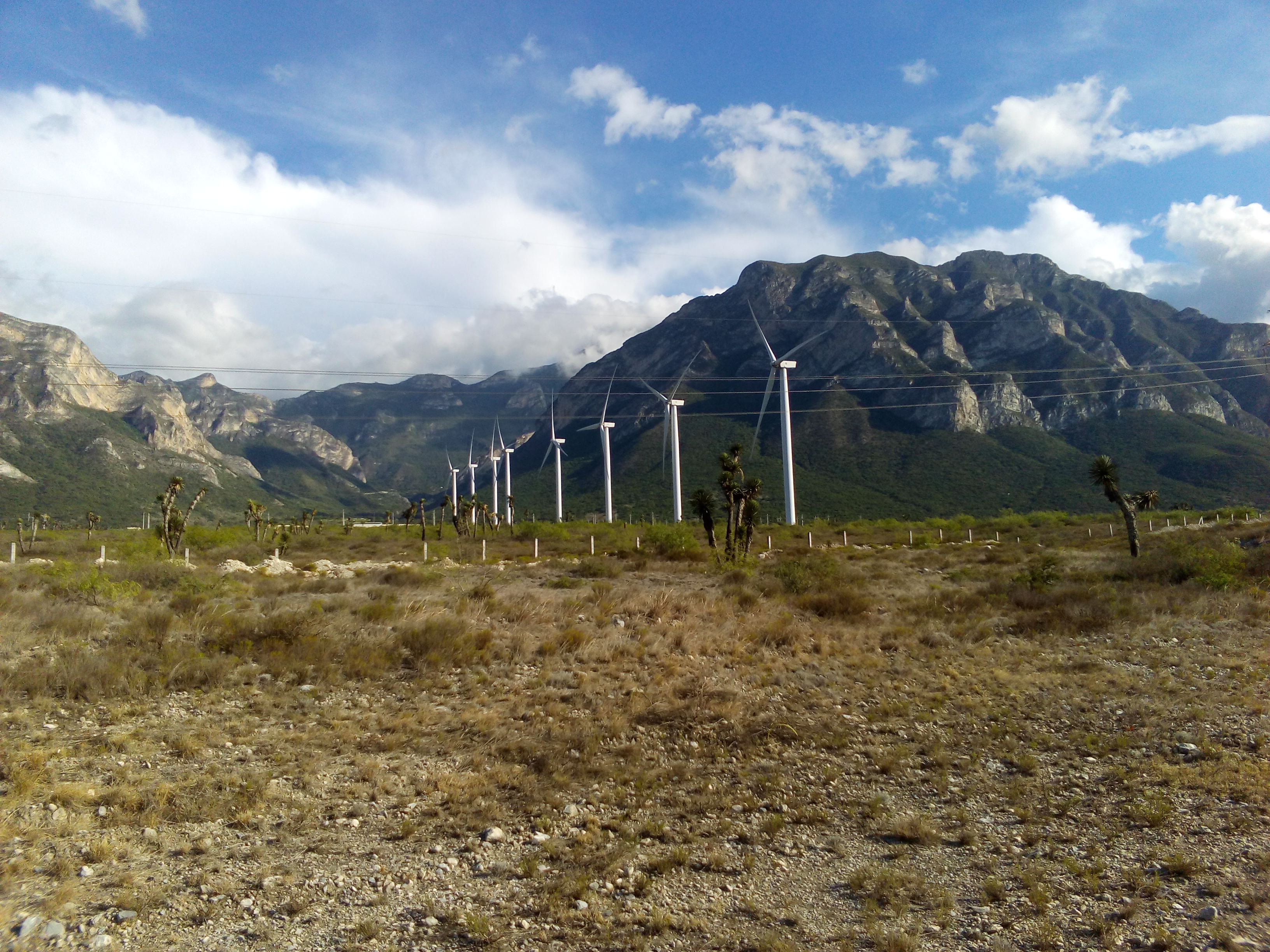 Restaurante El Palomo image 9