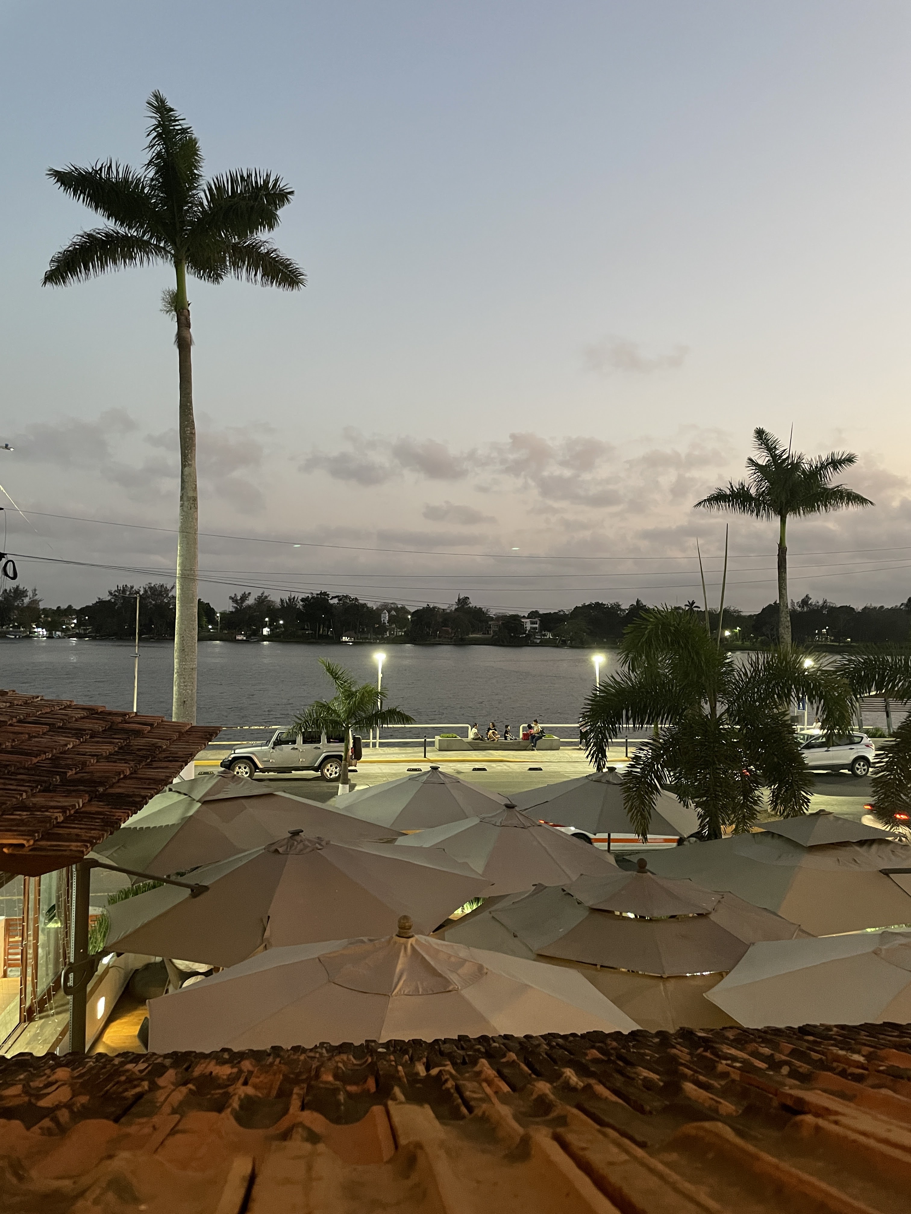 LA TERRAZA BOTANAS & CORTES S.A. DE C.V. image 5