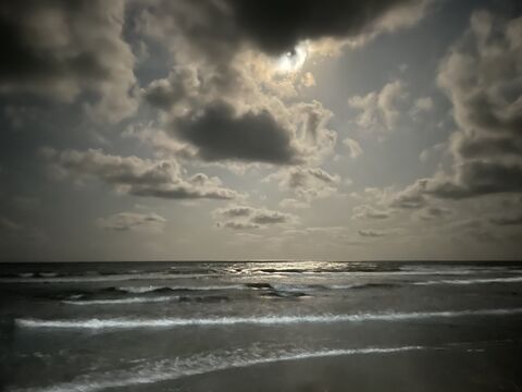 Miramar1 image 6