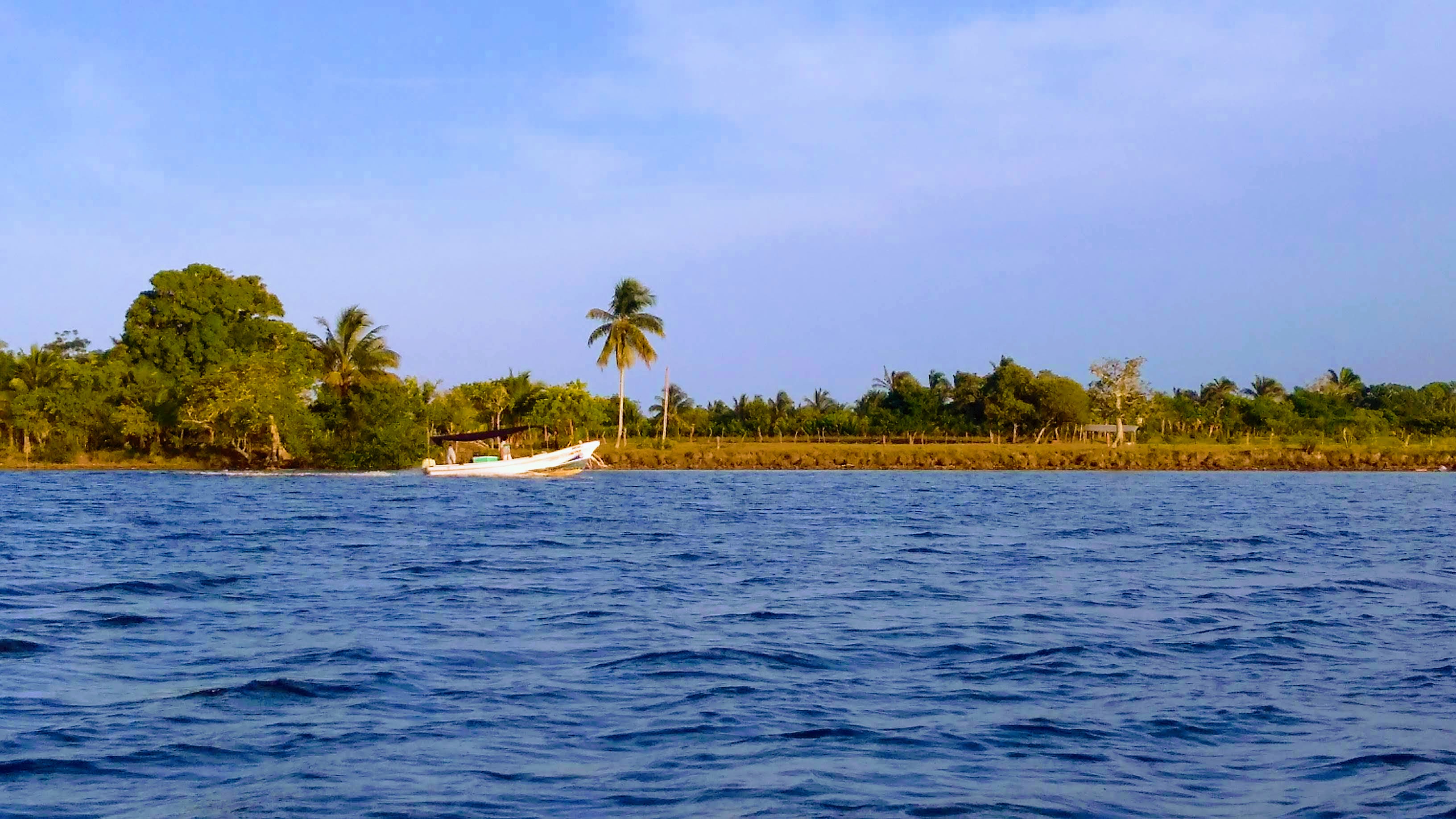 Mariscos el Rey Del Mar image 7