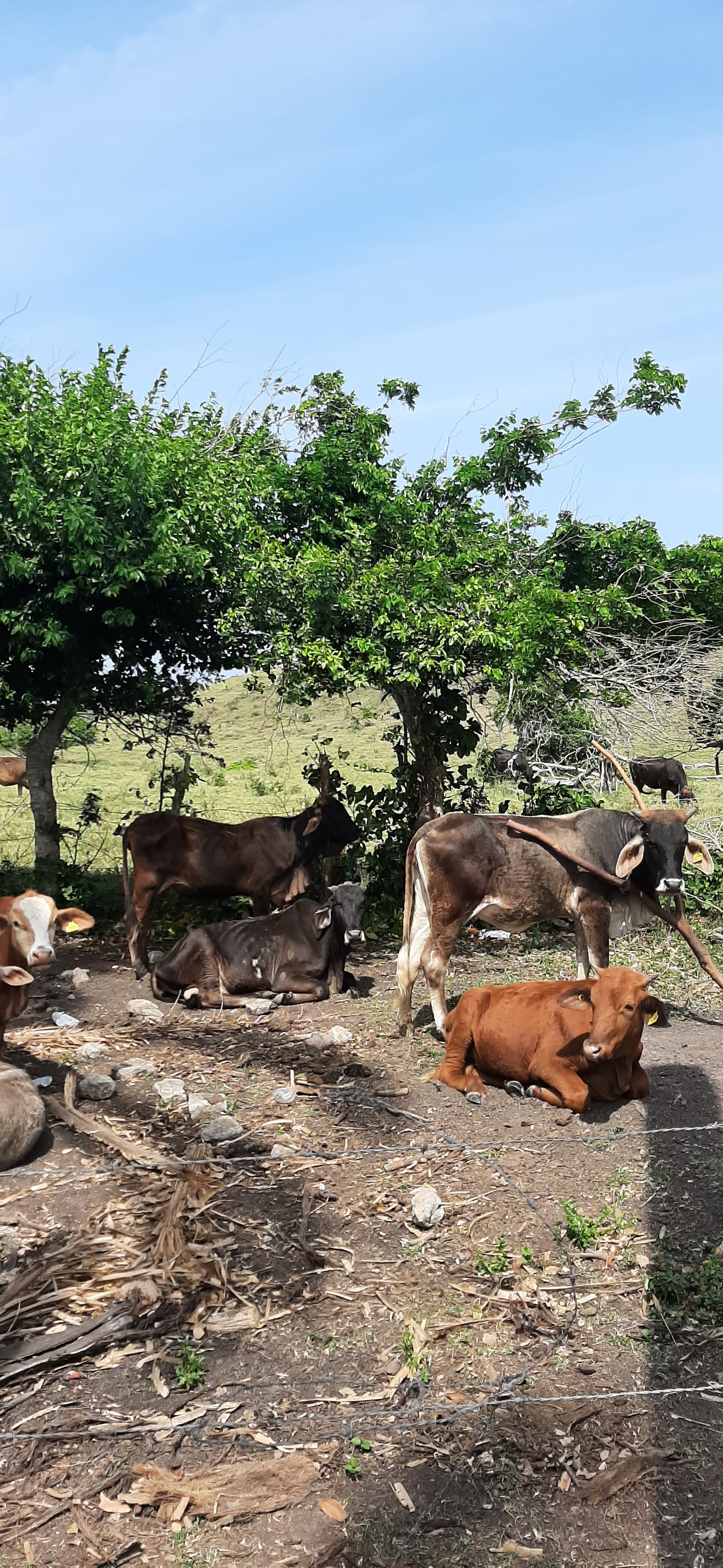 Mariscos el Rey Del Mar image 8