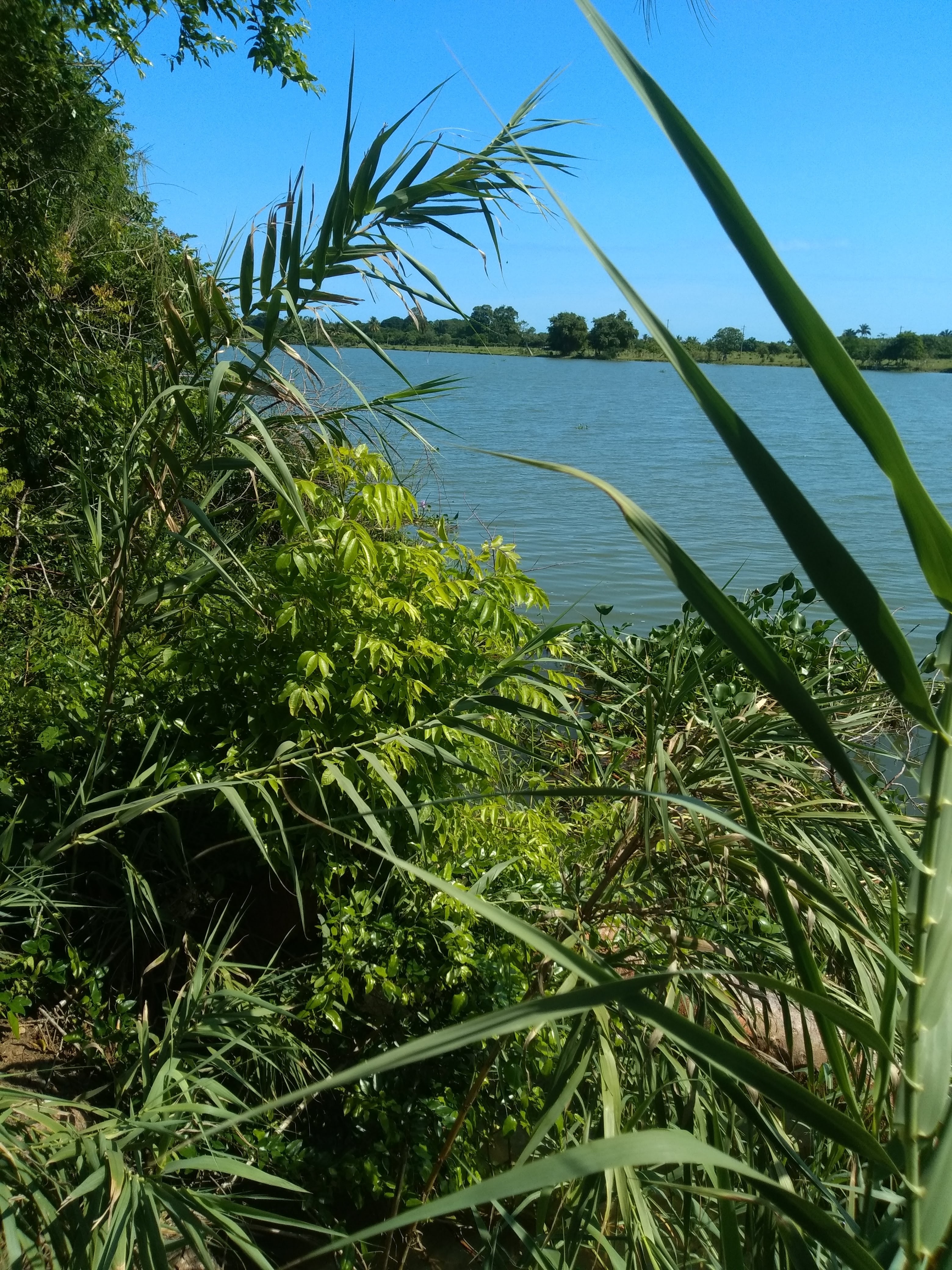 Mariscos el Rey Del Mar image 9