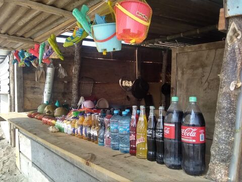 Palapa Ashly image 1