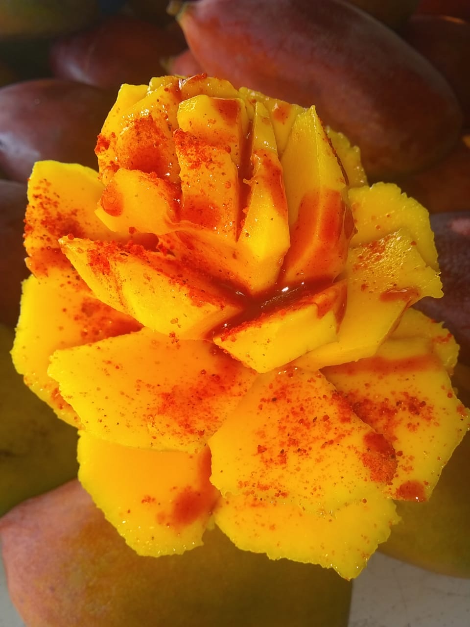 Palapa Ashly image 8