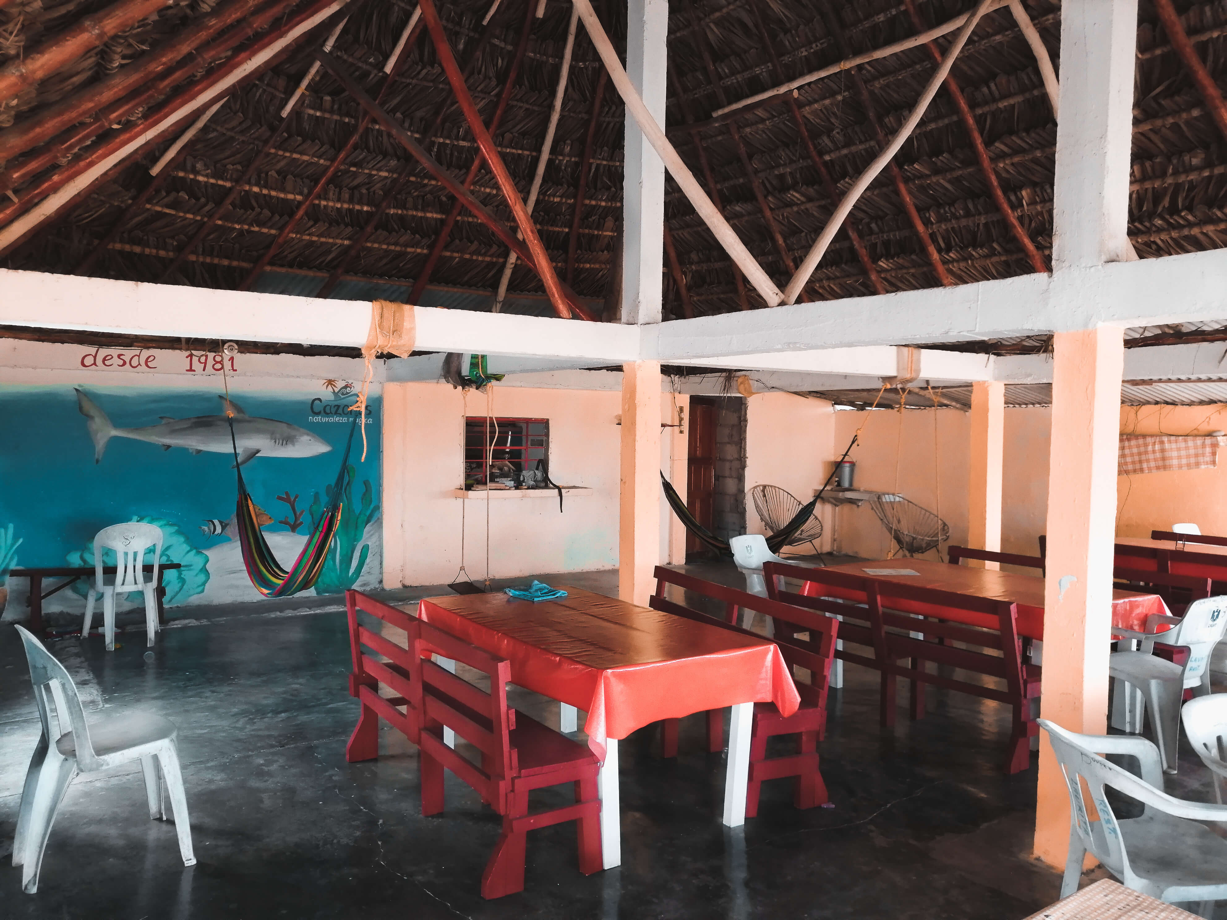 Palapa El Güero image 1