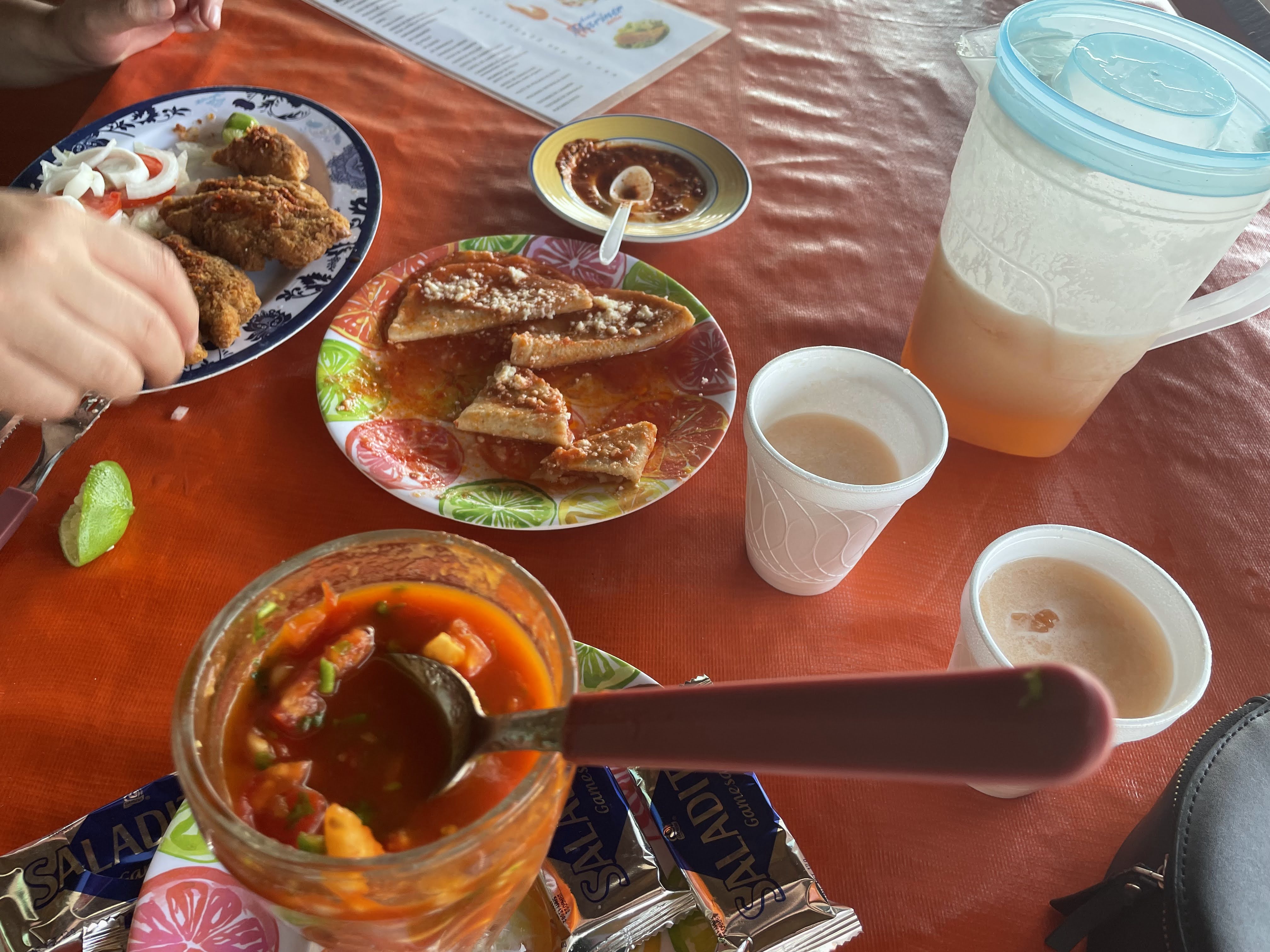 Palapa El Güero image 2