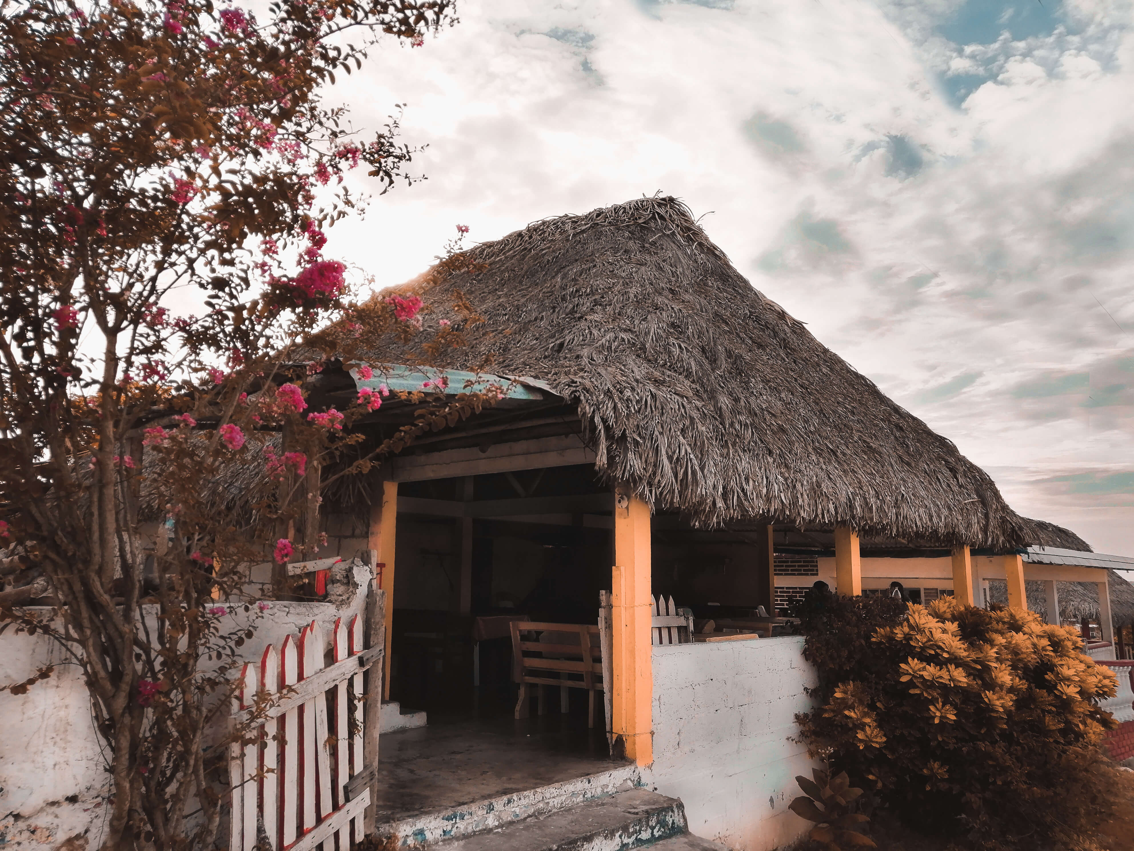 Palapa El Güero image 3