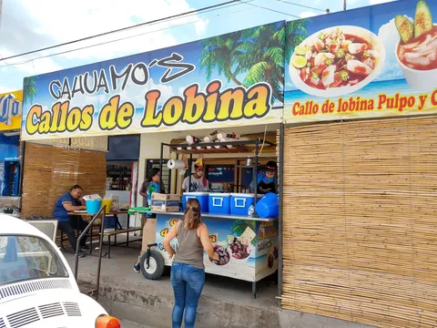 Callos De Lobina CAHUAMOS image 1