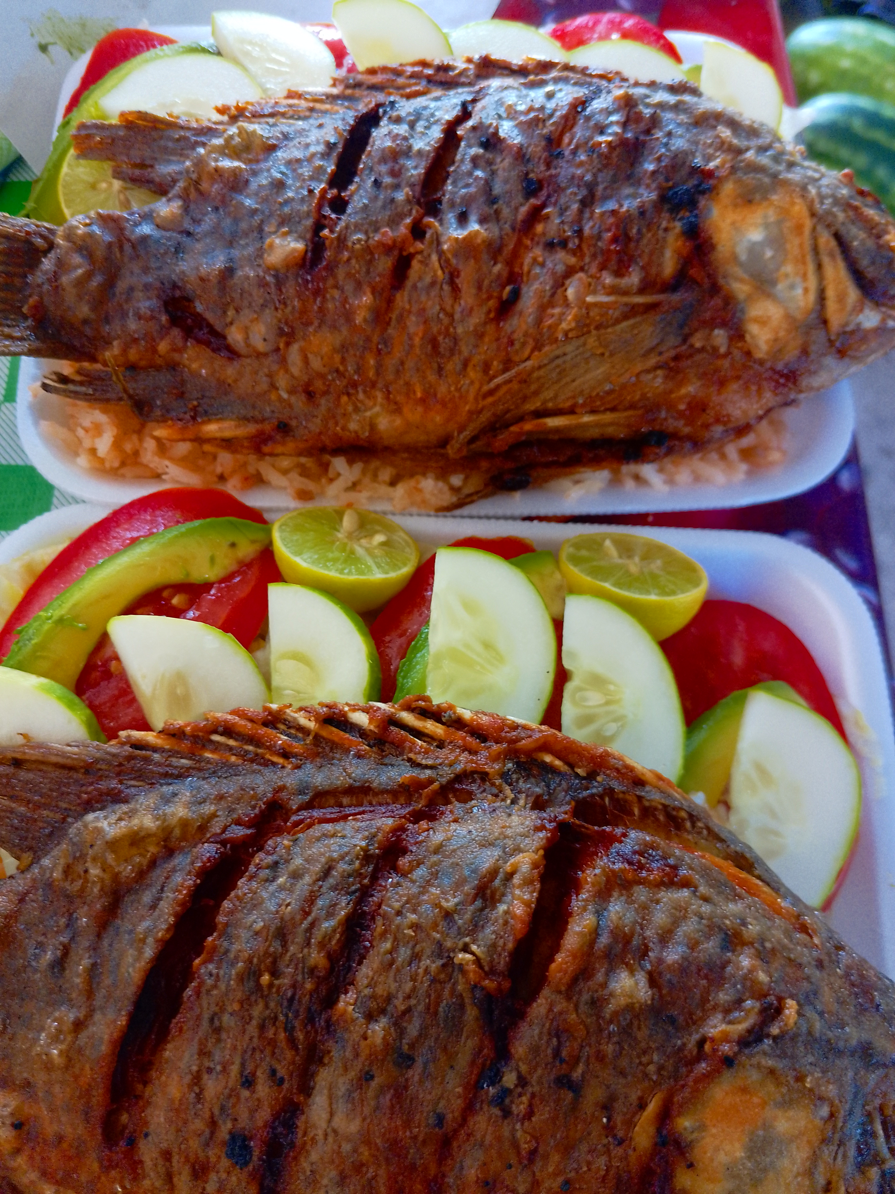 Los cocos " tacos, cemas , mojarras fritas, tortillas a mano " image 1