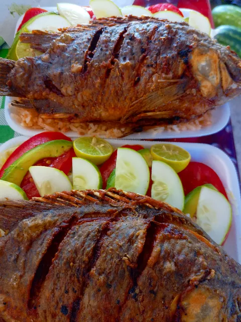 Los cocos " tacos, cemas , mojarras fritas, tortillas a mano " image 1