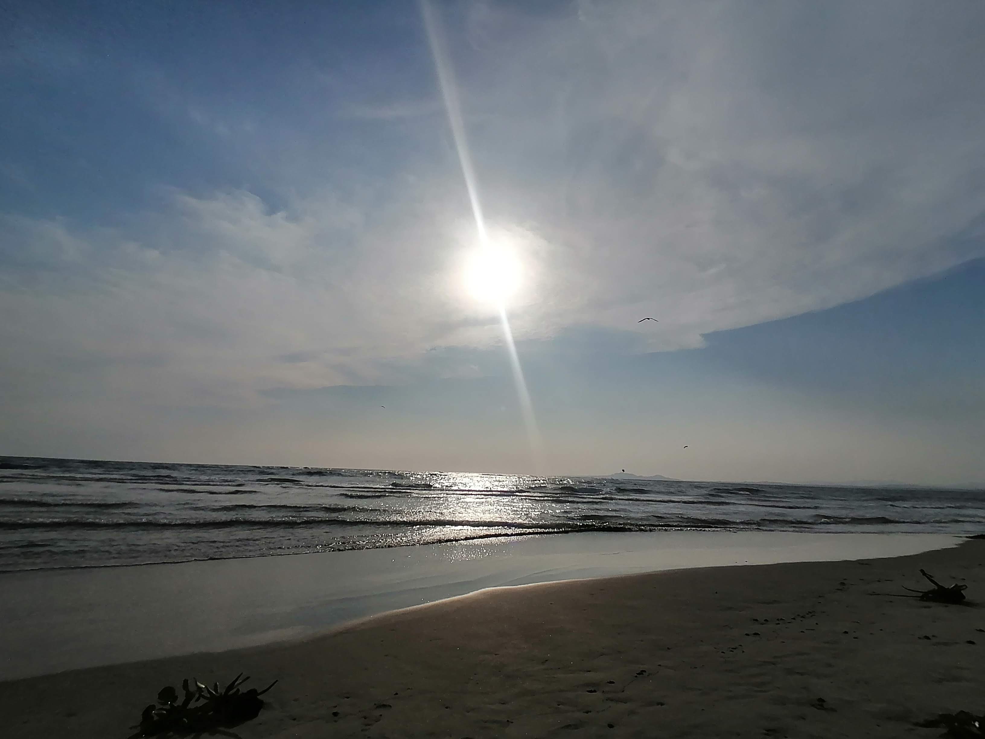 Palapa El Farito image 3