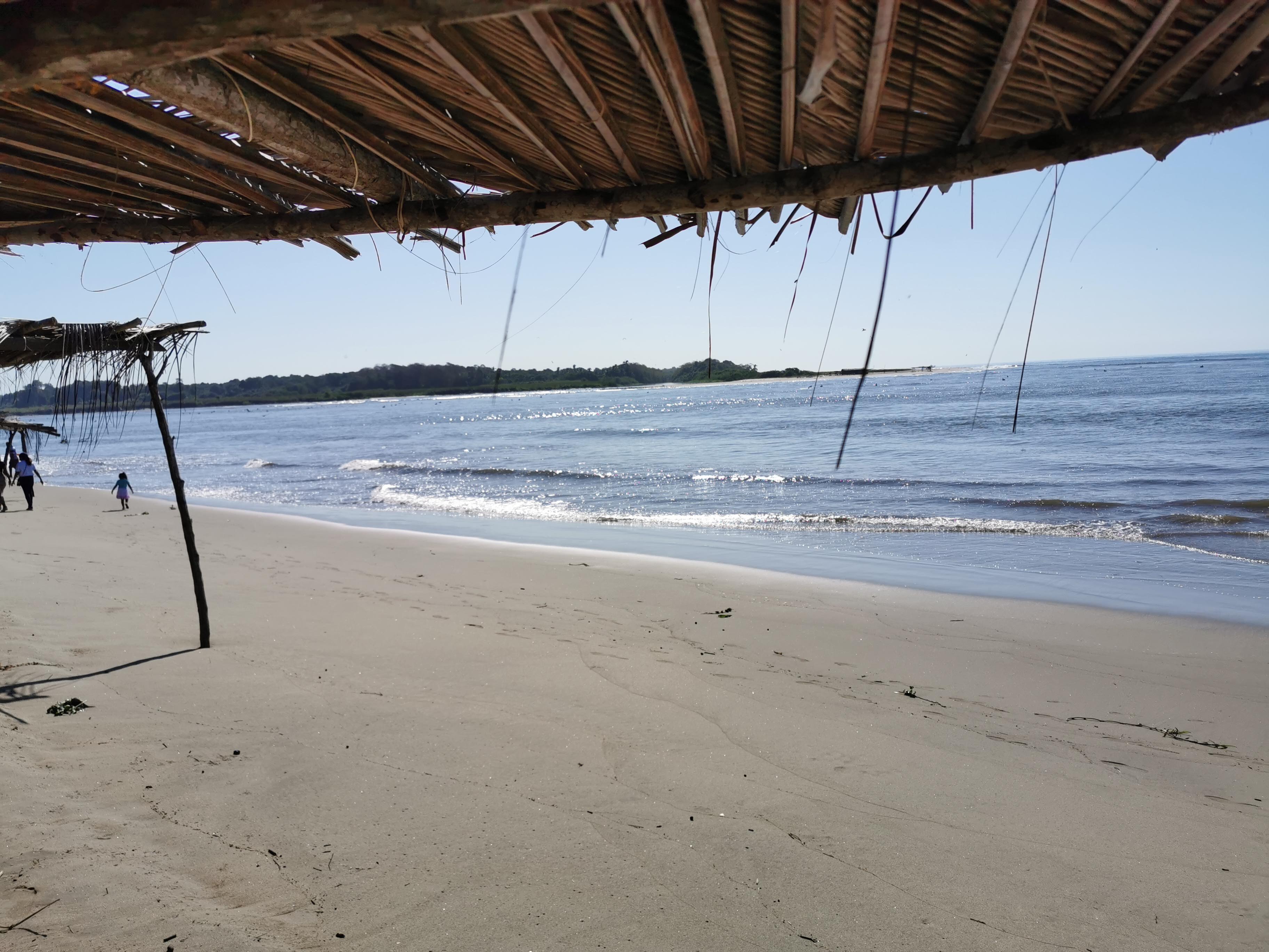 Palapa El Farito image 4