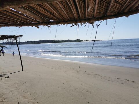 Palapa El Farito image 4