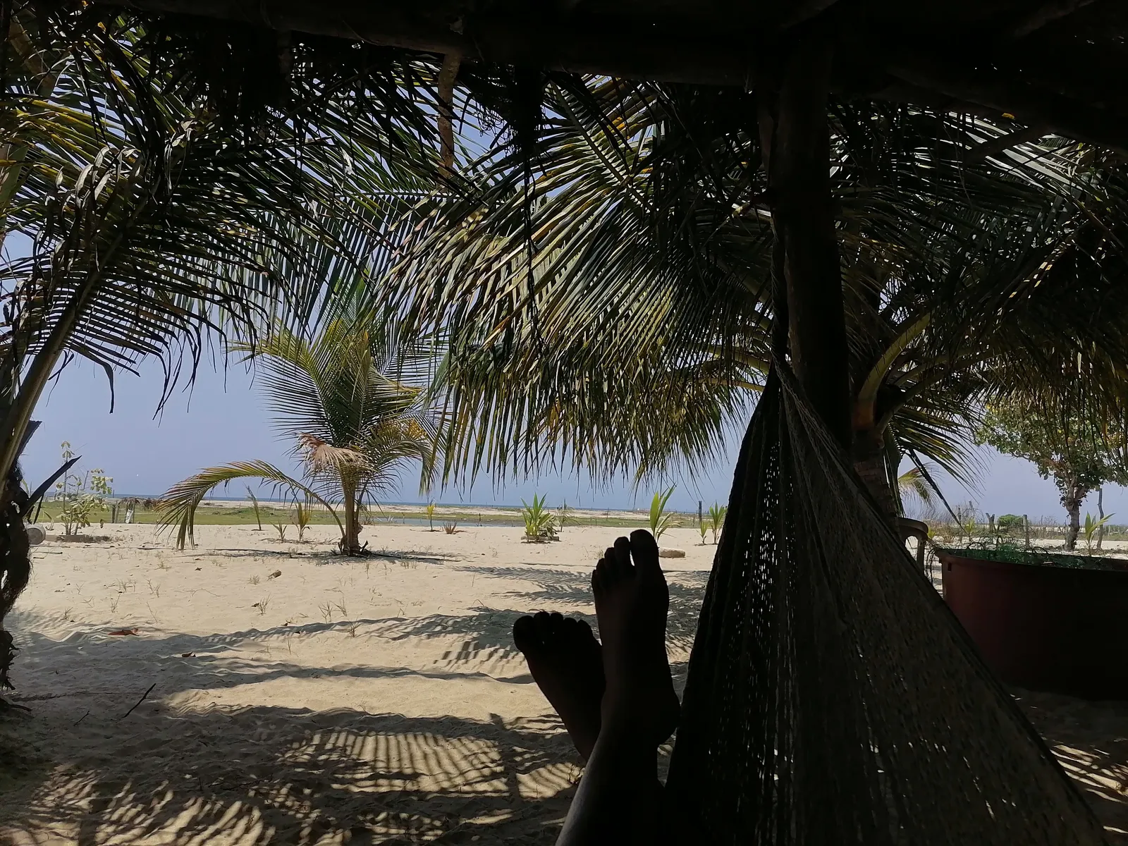 Palapa El Farito image 7