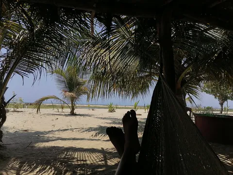 Palapa El Farito image 7