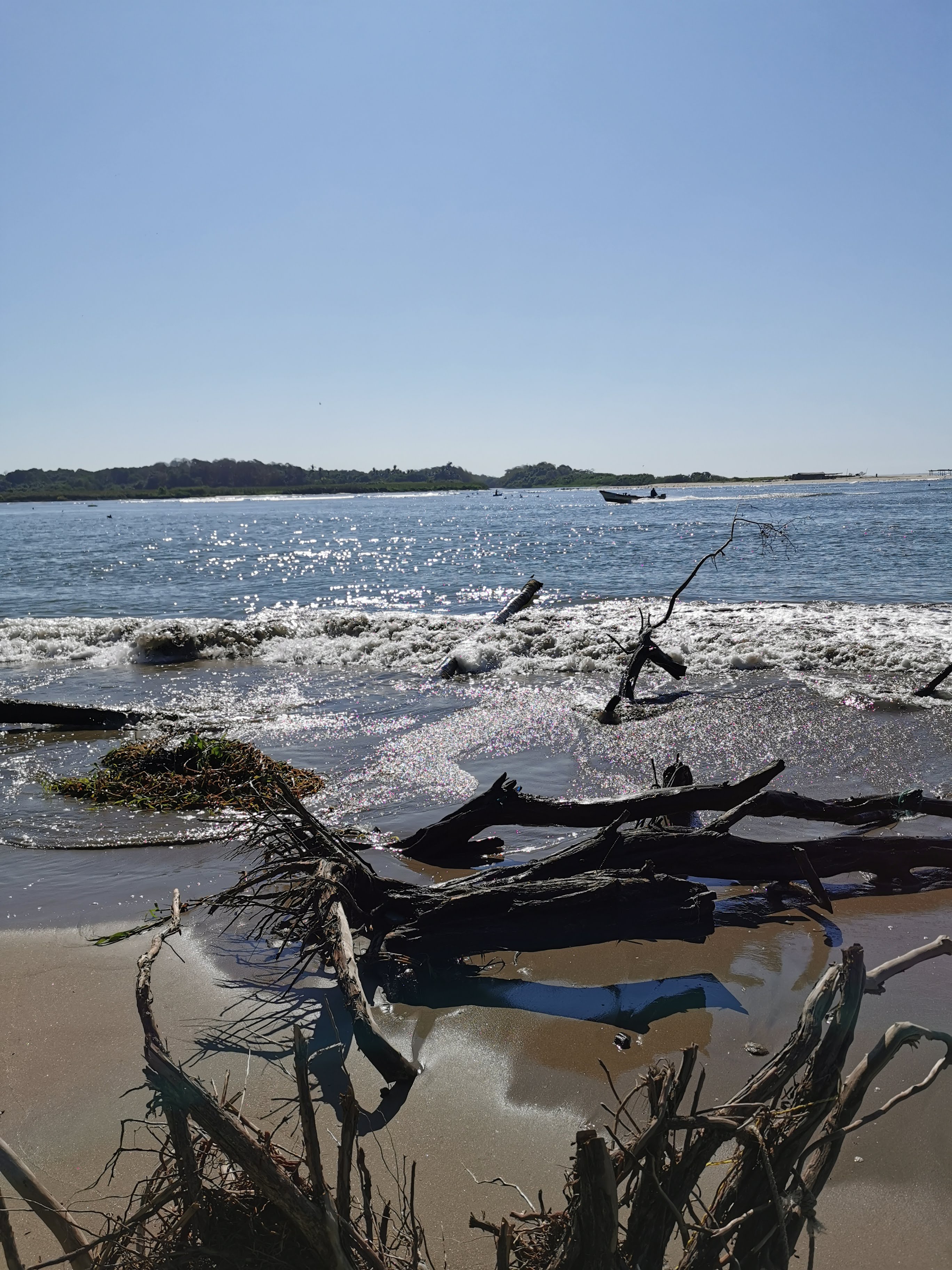 Palapa El Farito image 8