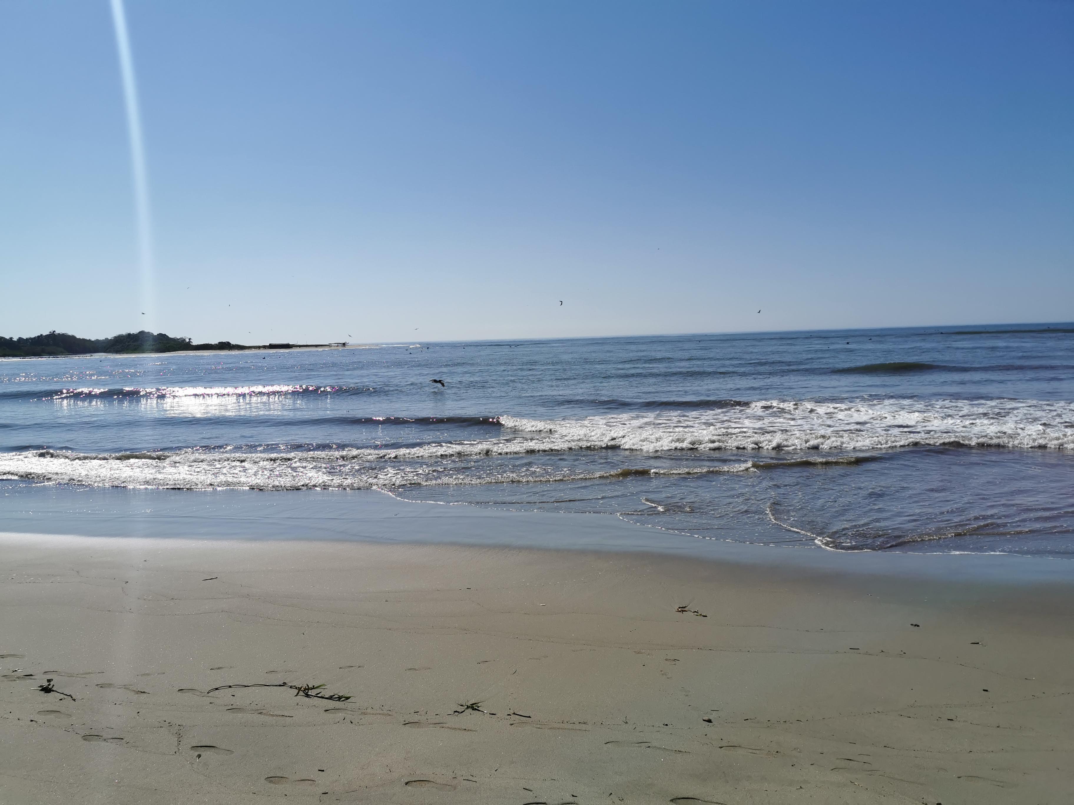 Palapa El Farito image 9