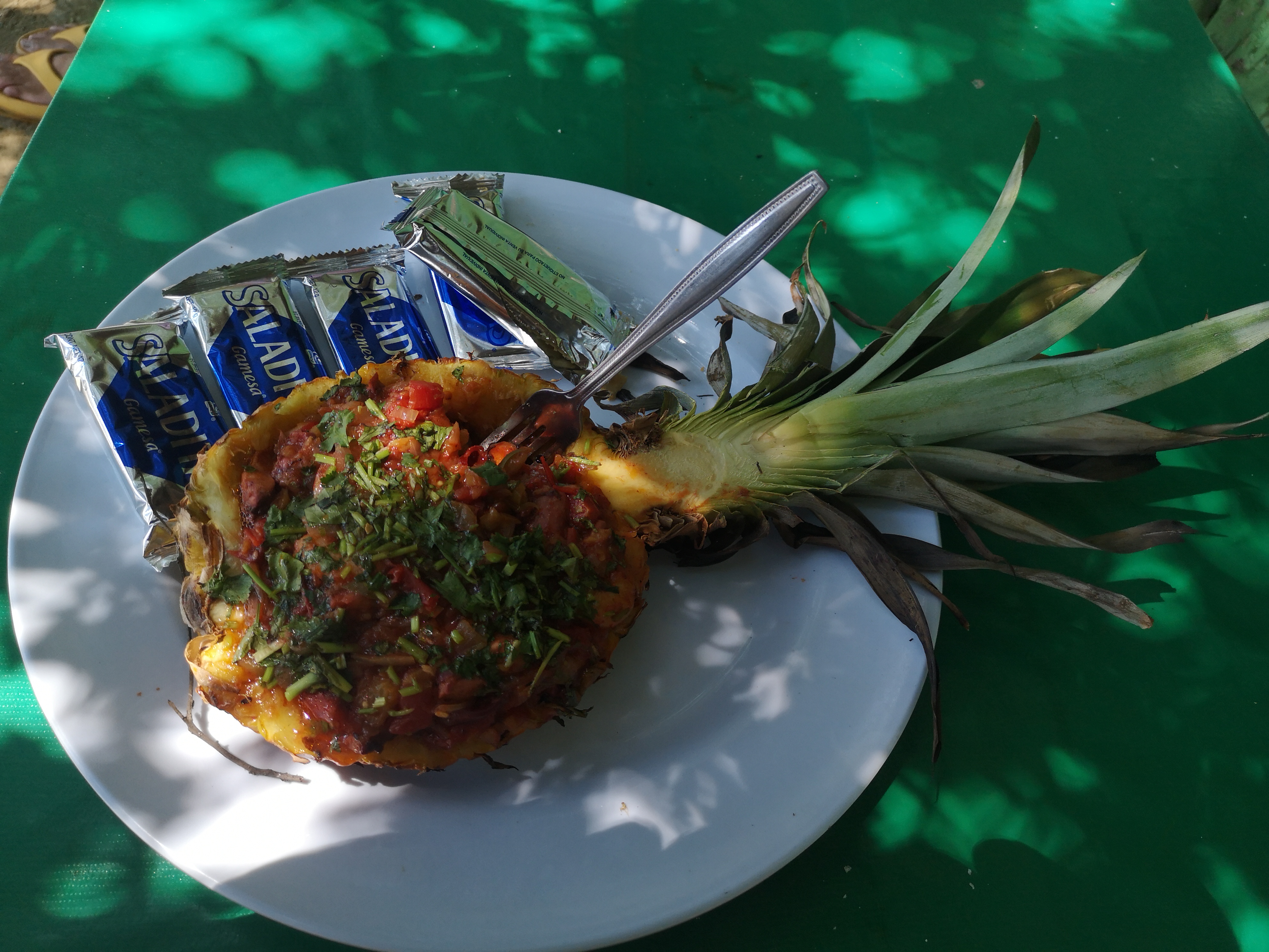 PALAPA GRECIA image 2