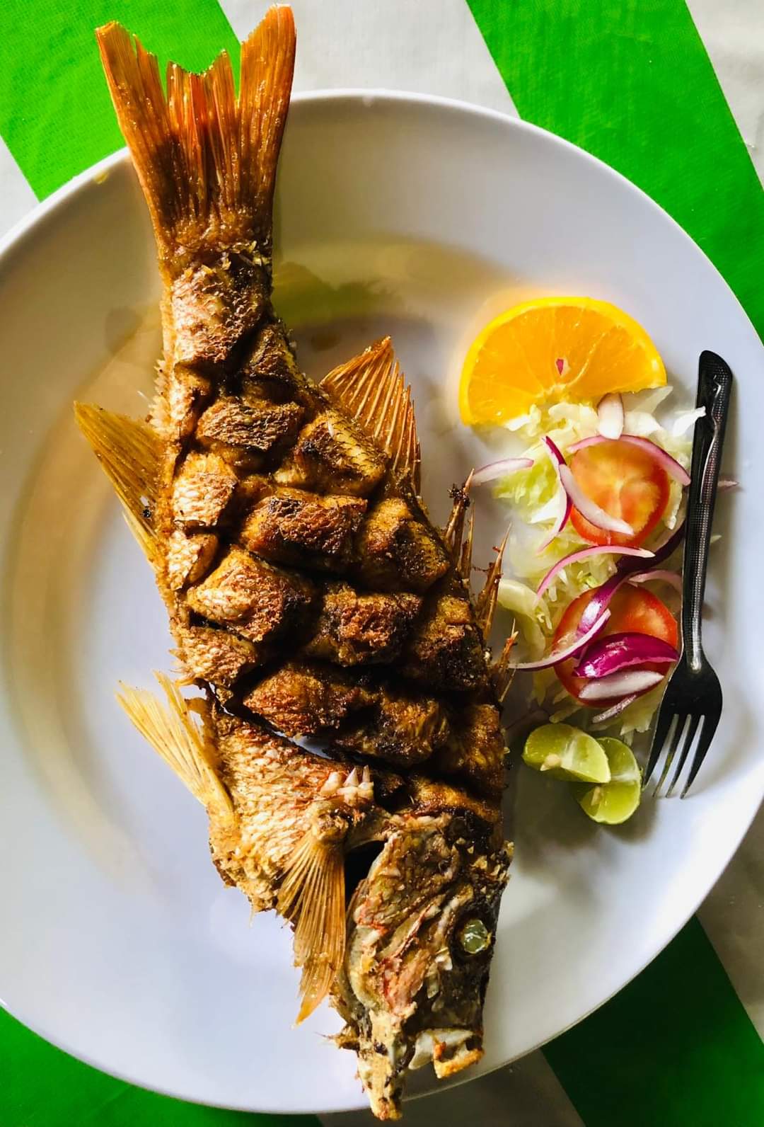 PALAPA GRECIA image 5