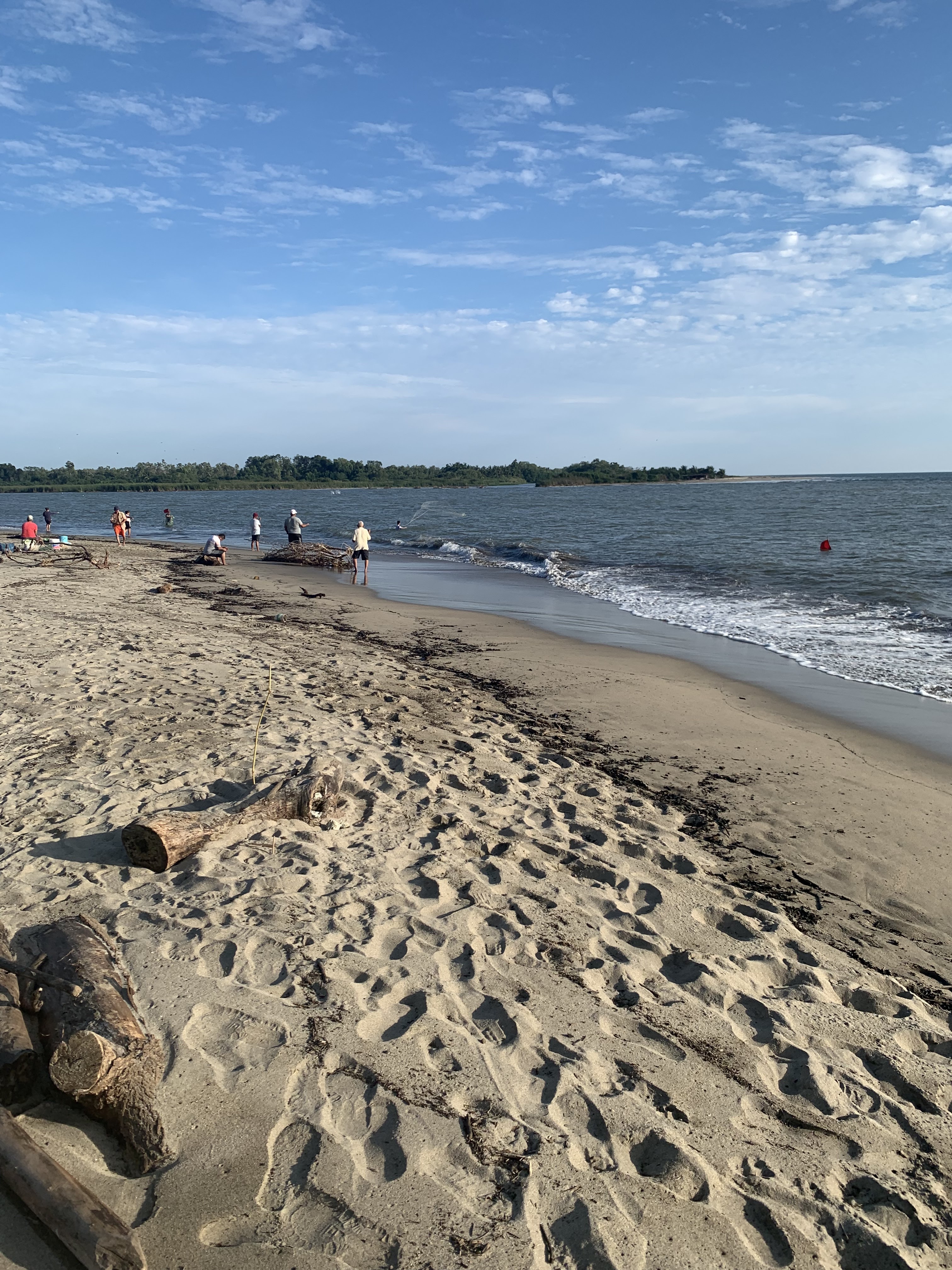 PALAPA GRECIA image 8