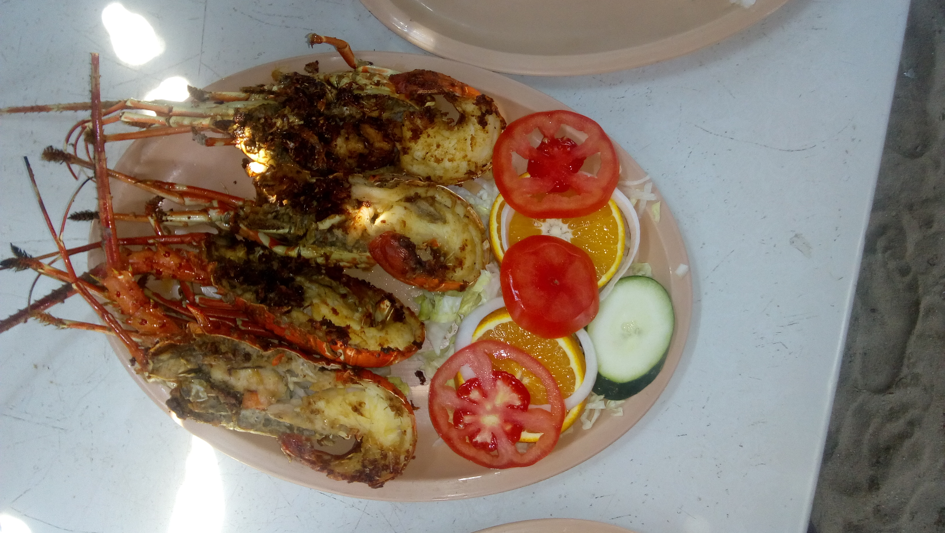 Palapa Bello Sol image 2