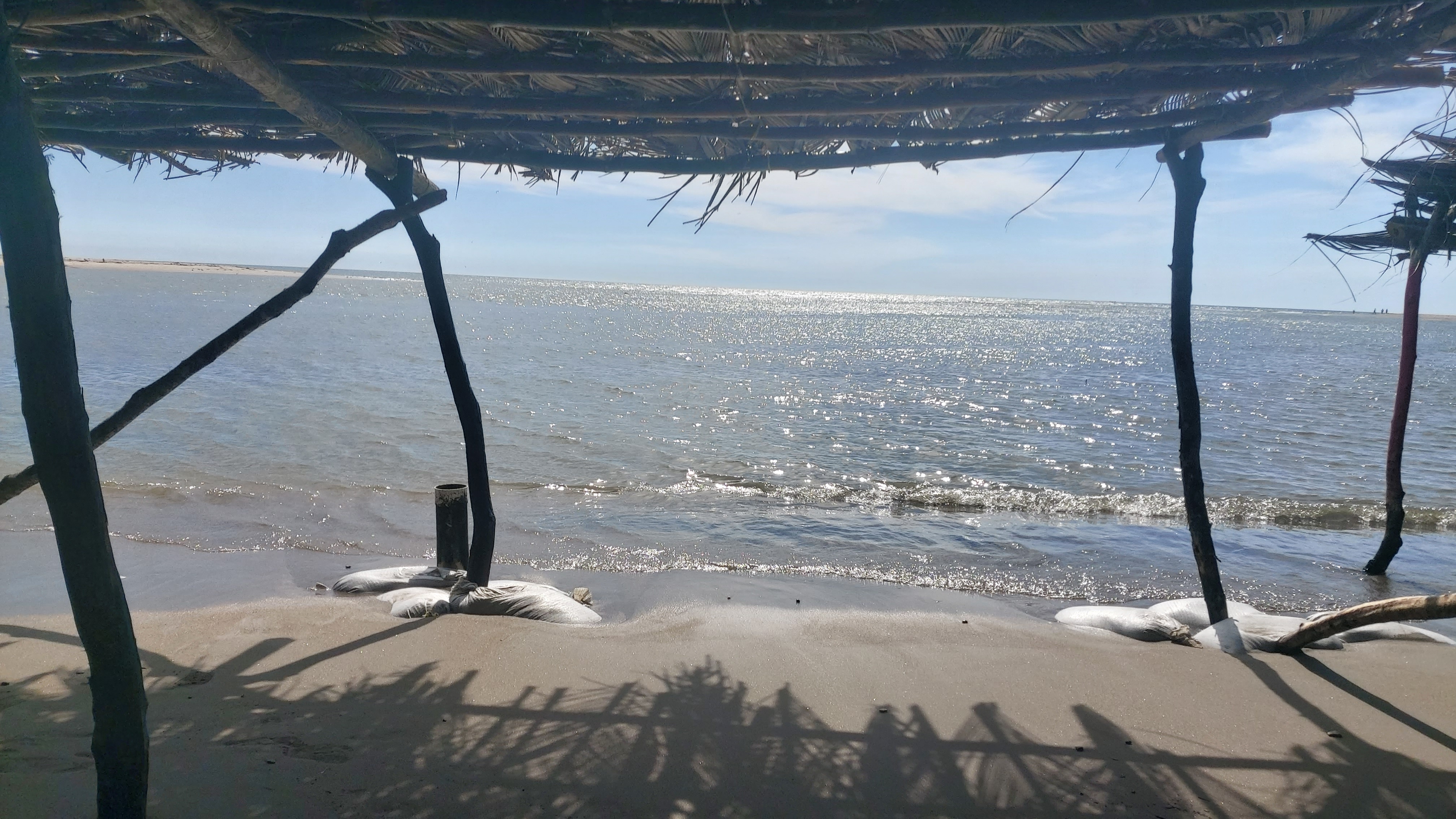 "Mariscos Alexia" image 1