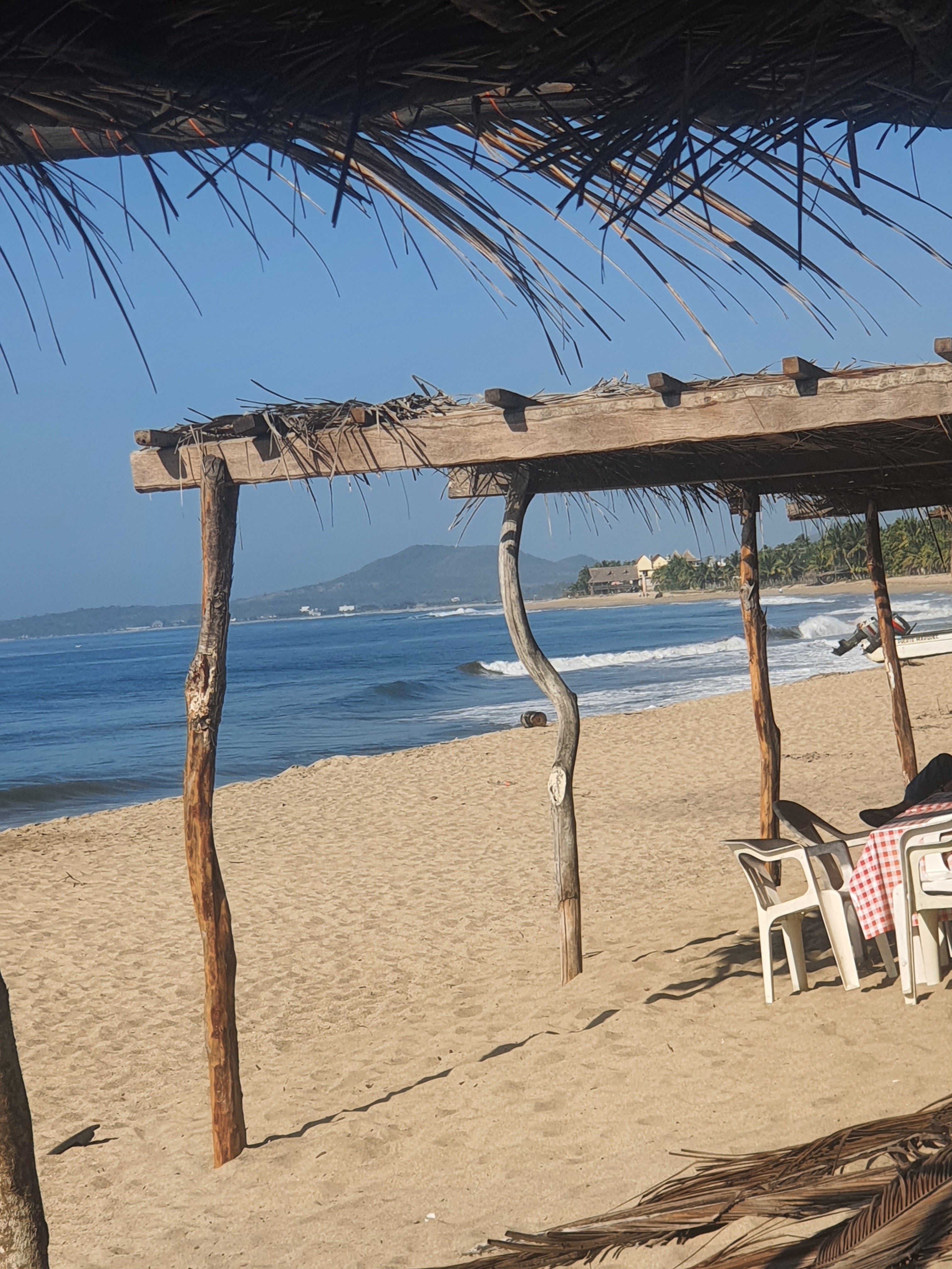 "Mariscos Alexia" image 2