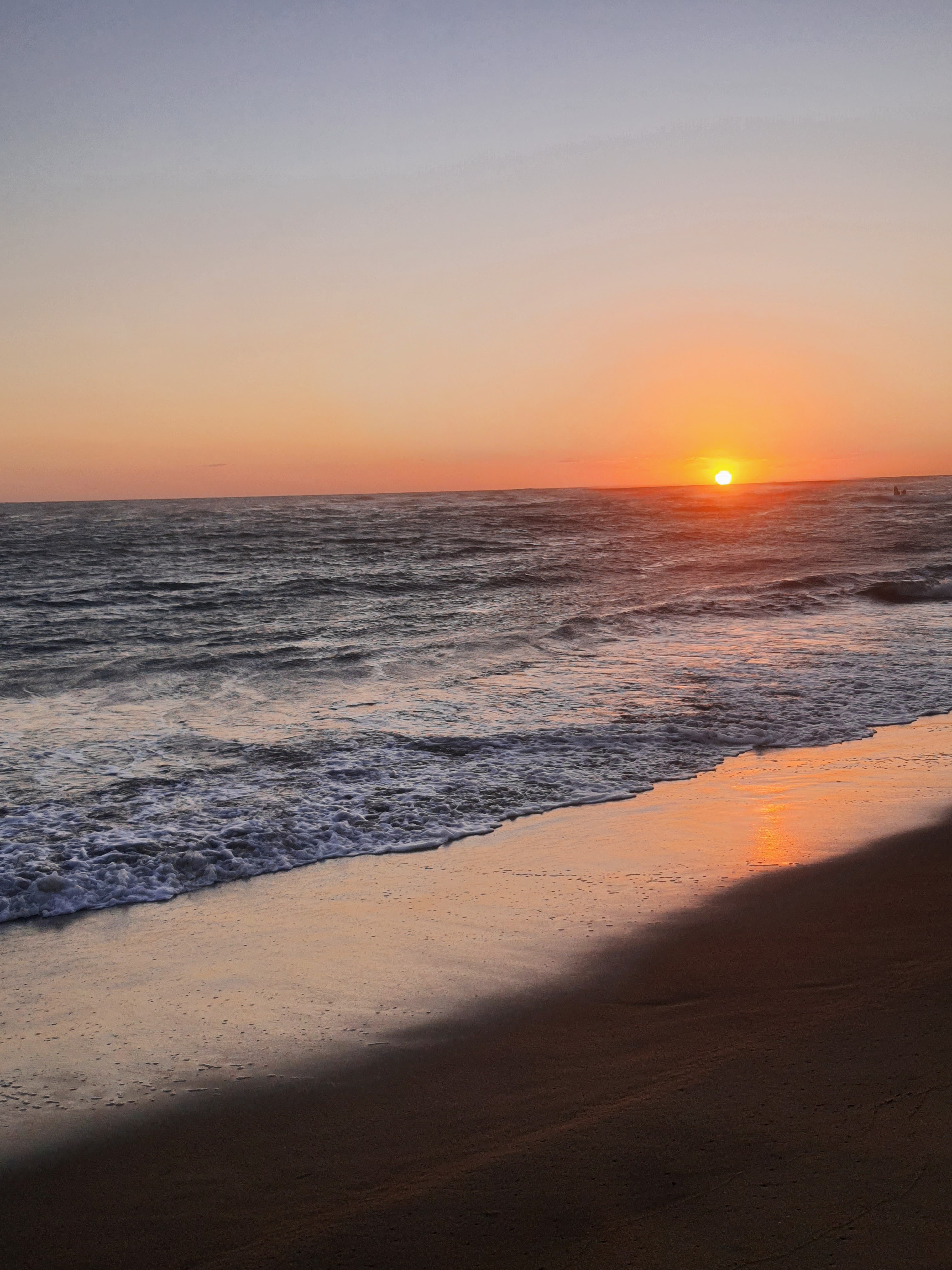 "Mariscos Alexia" image 3