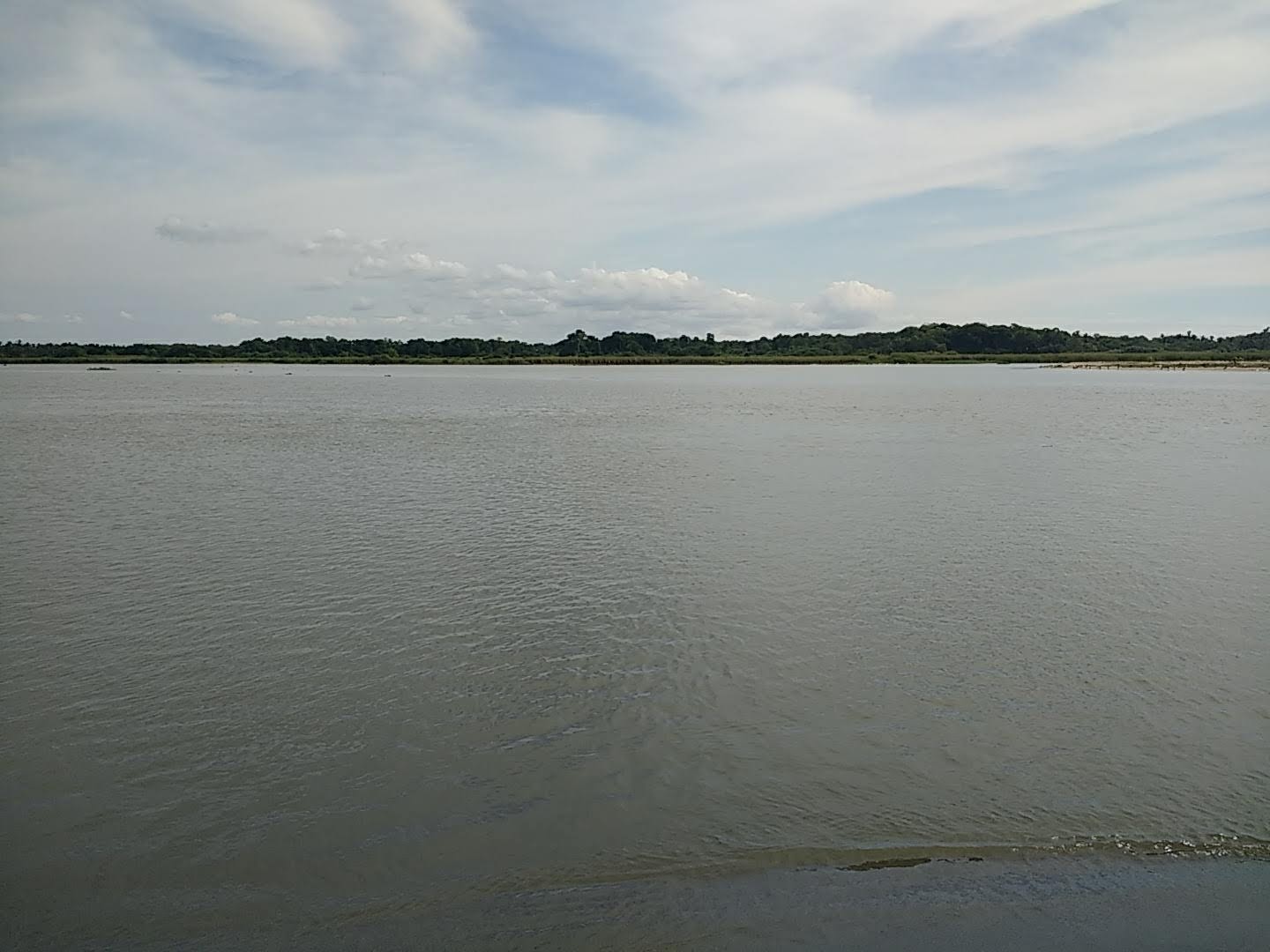 Palapa Kelite y Dora image 7