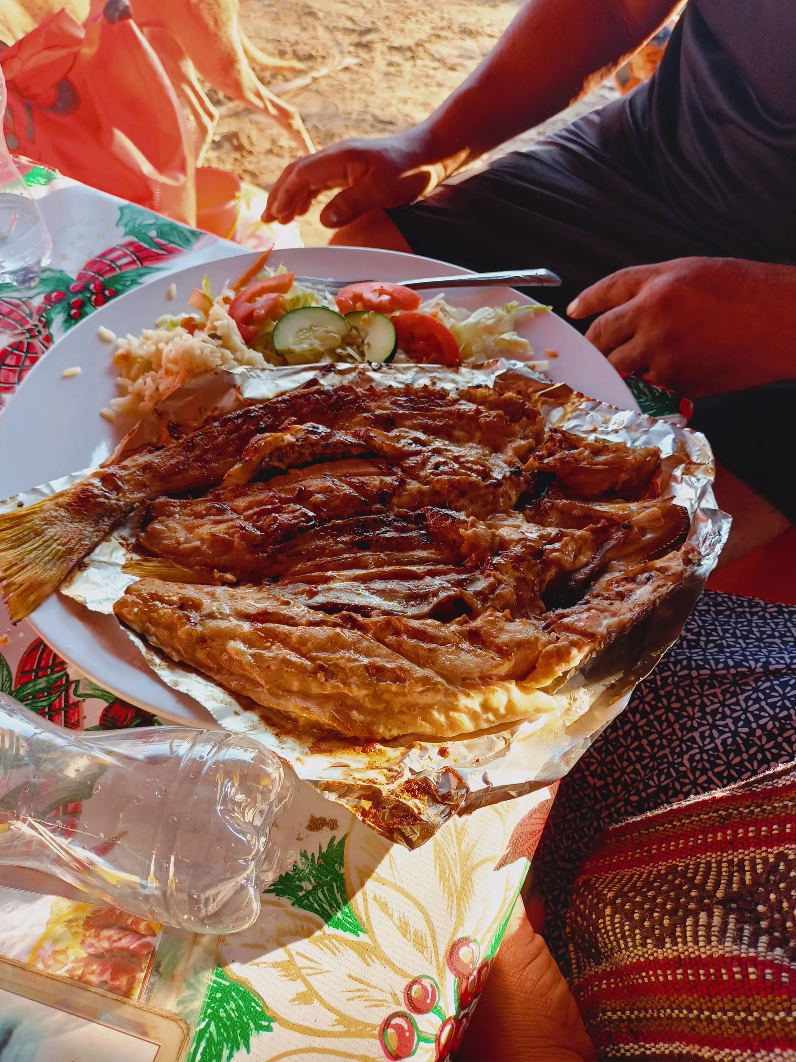 Palapa EMY image 1